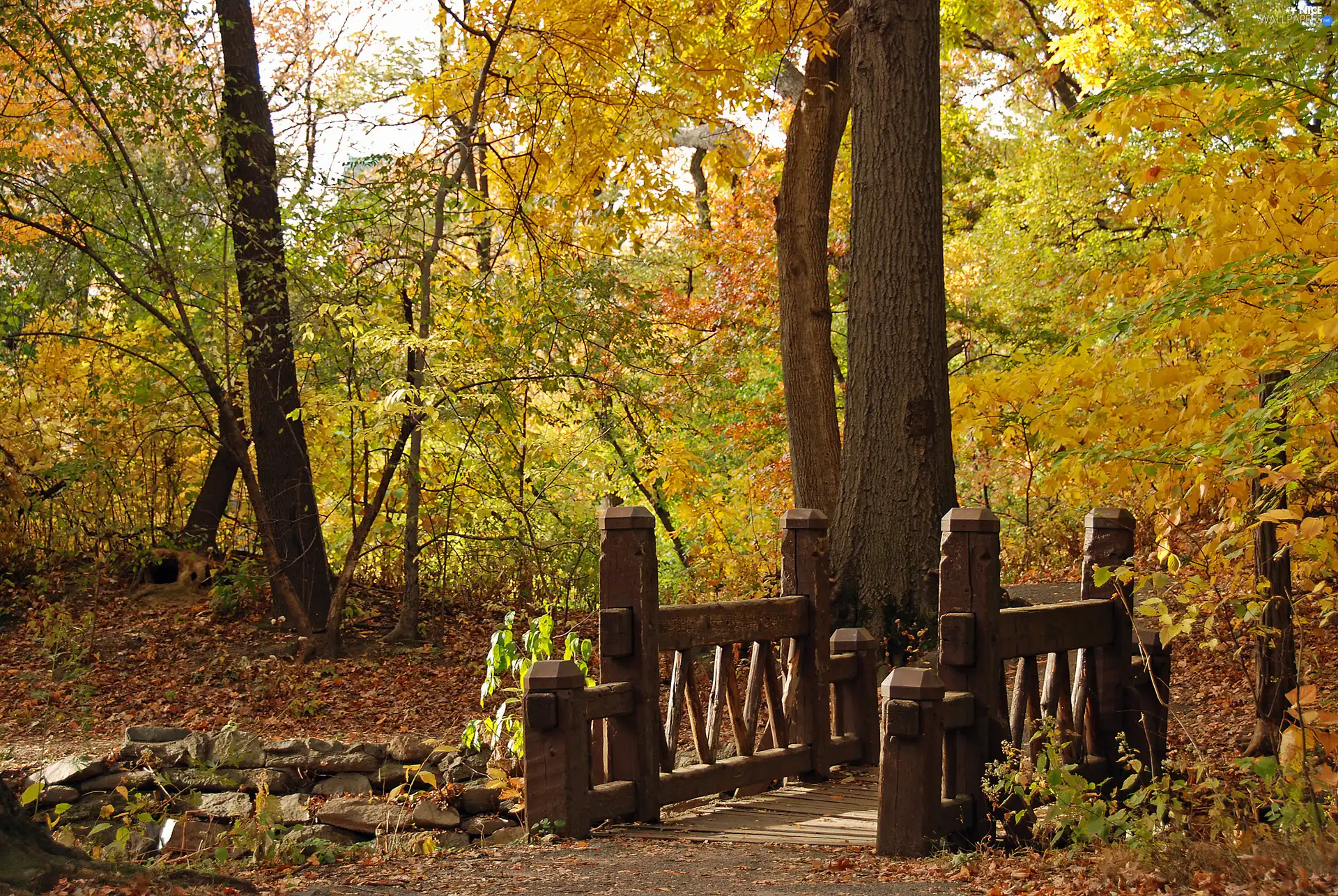 Park, Leaf, autumn, bridges