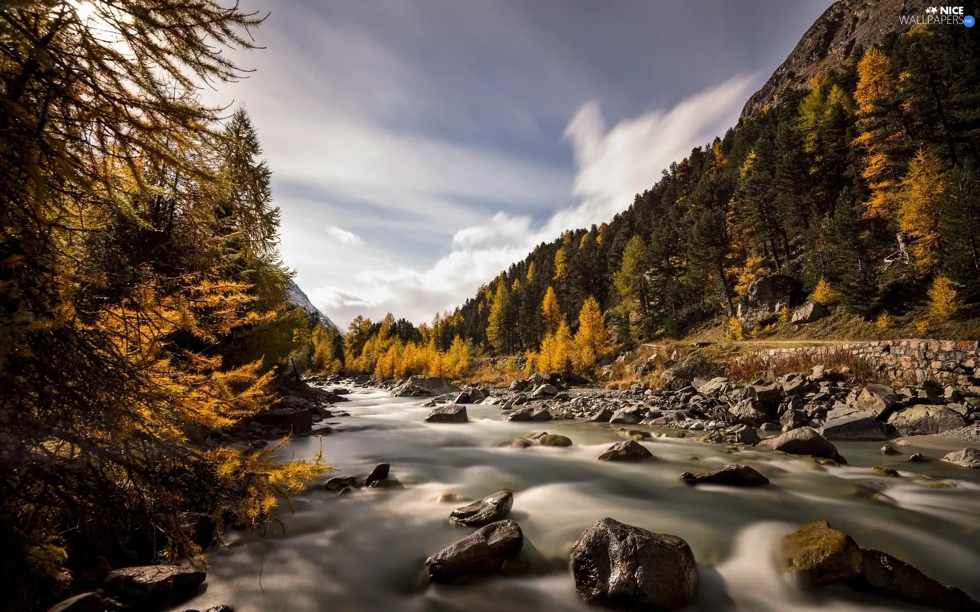 River, forest, autumn, Stones