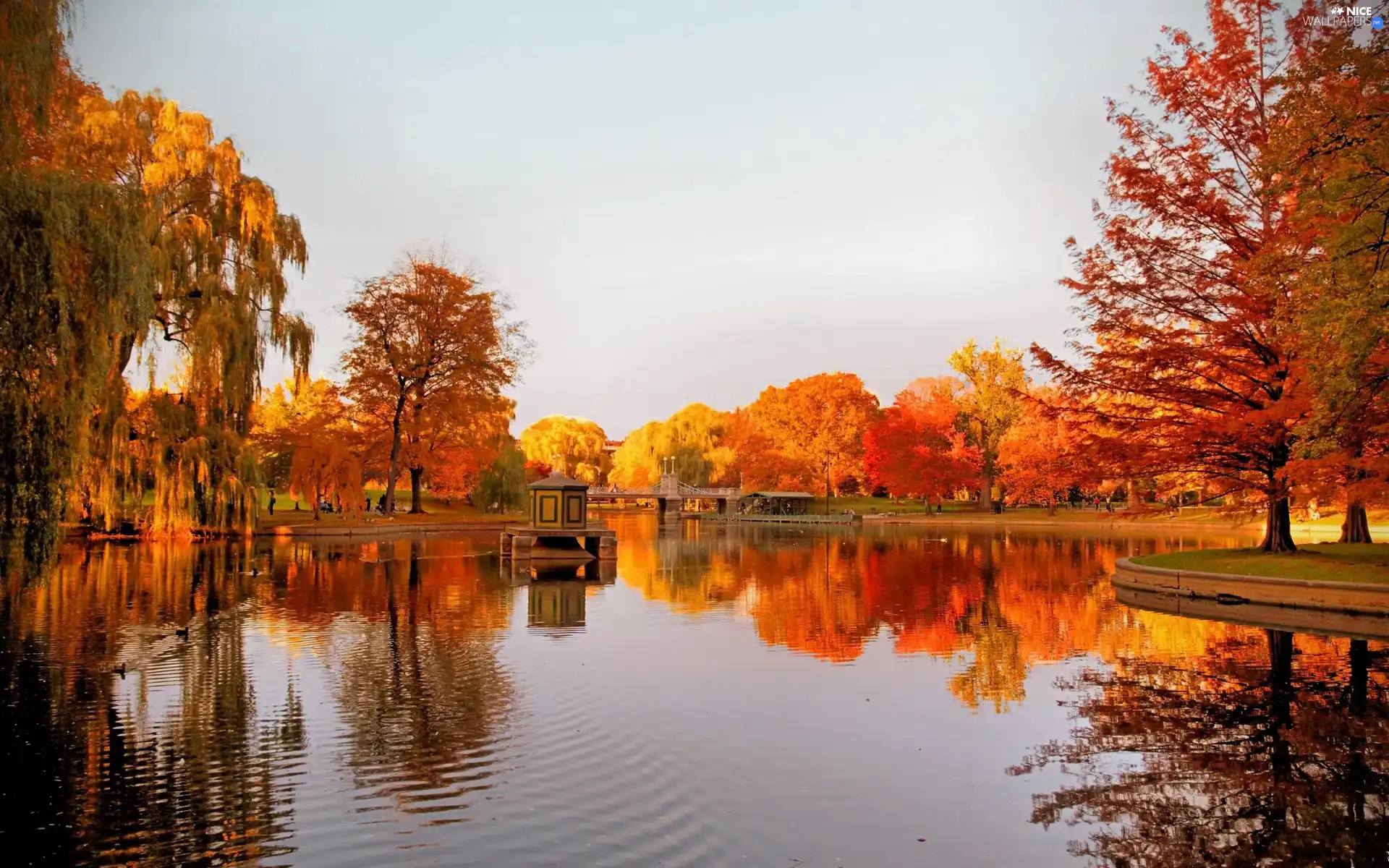 River, Park, autumn, bridge