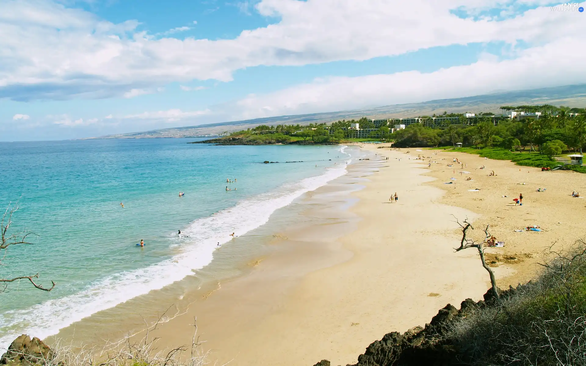 Beaches, landscape, sea