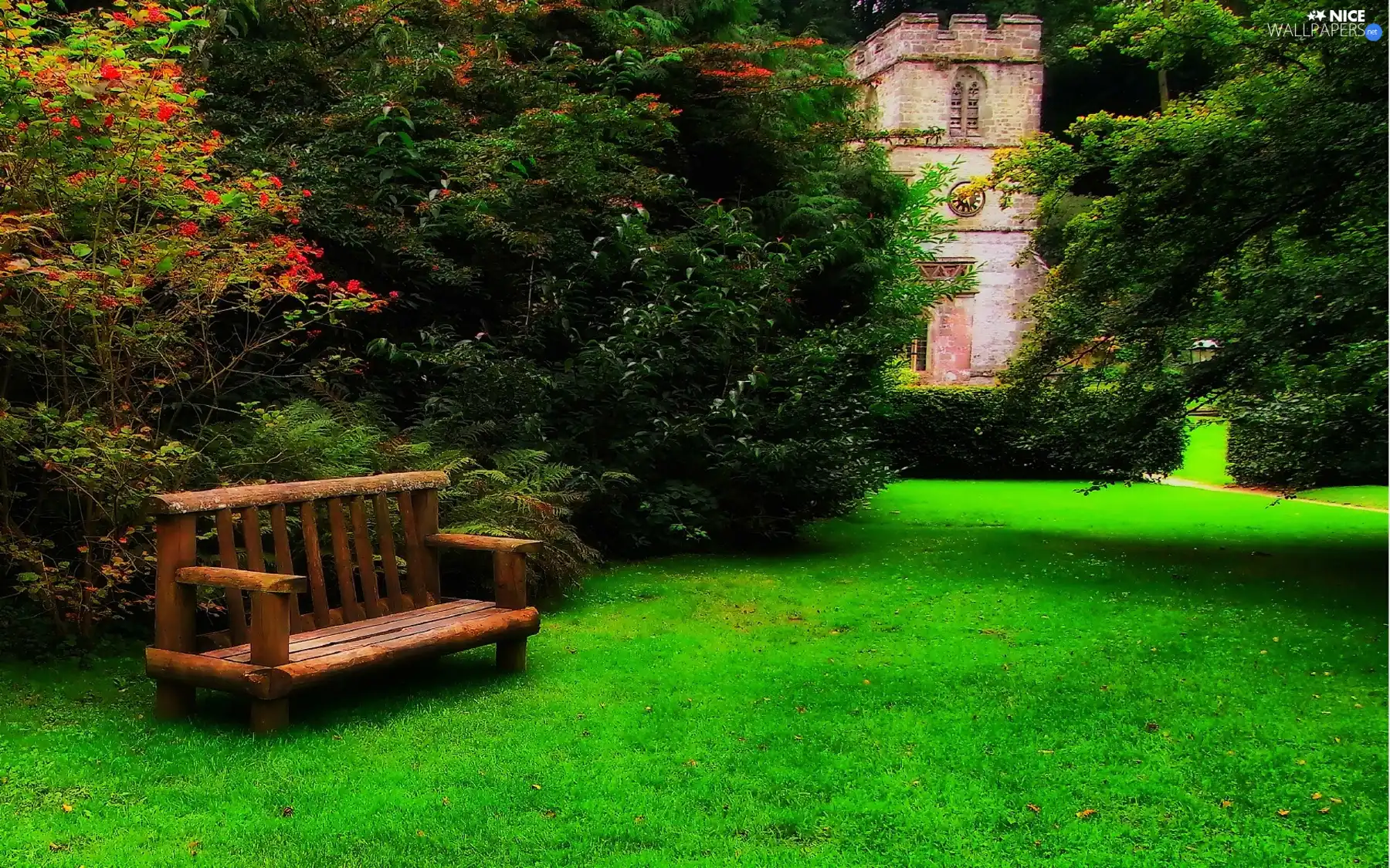 Park, viewes, Bench, trees