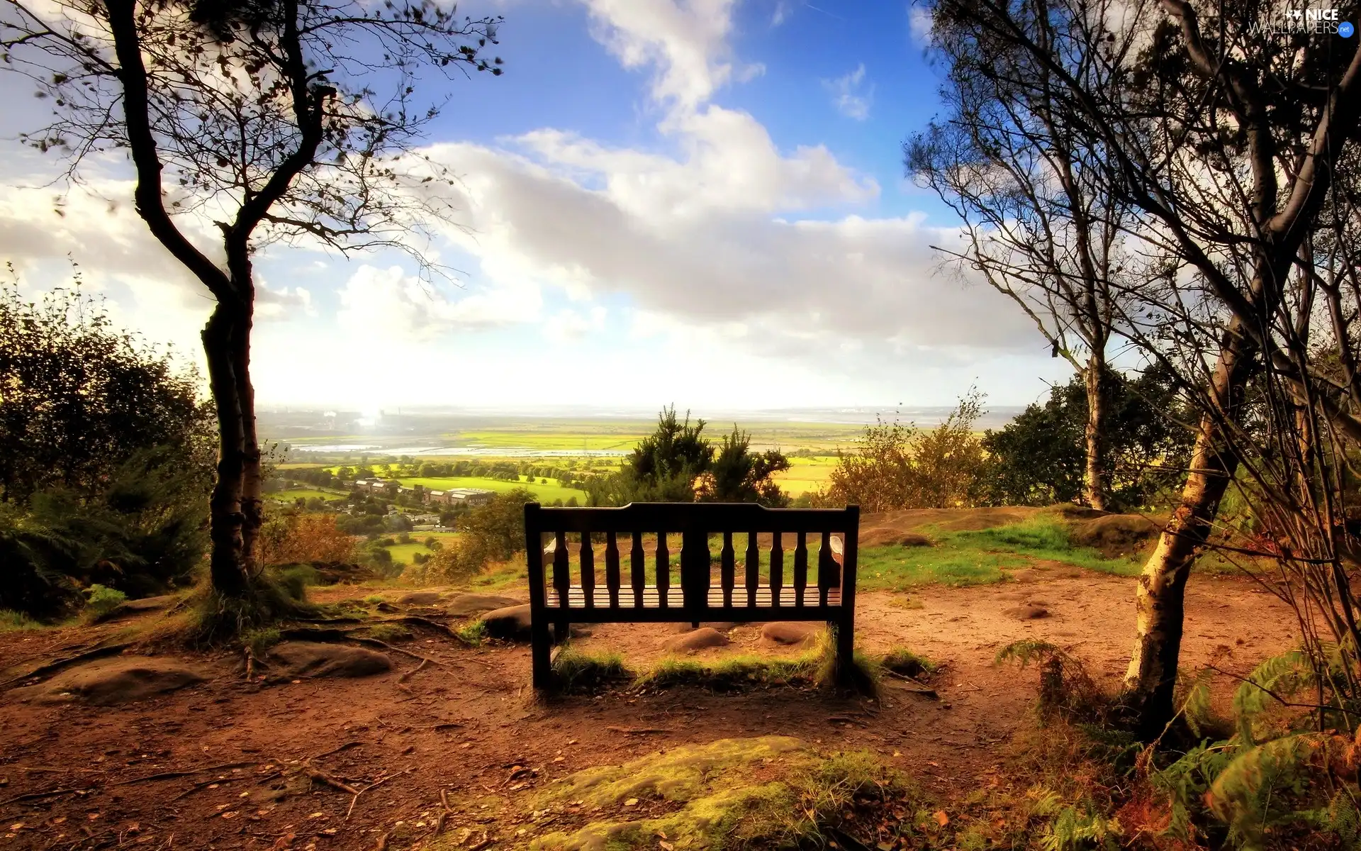 Park, Bench