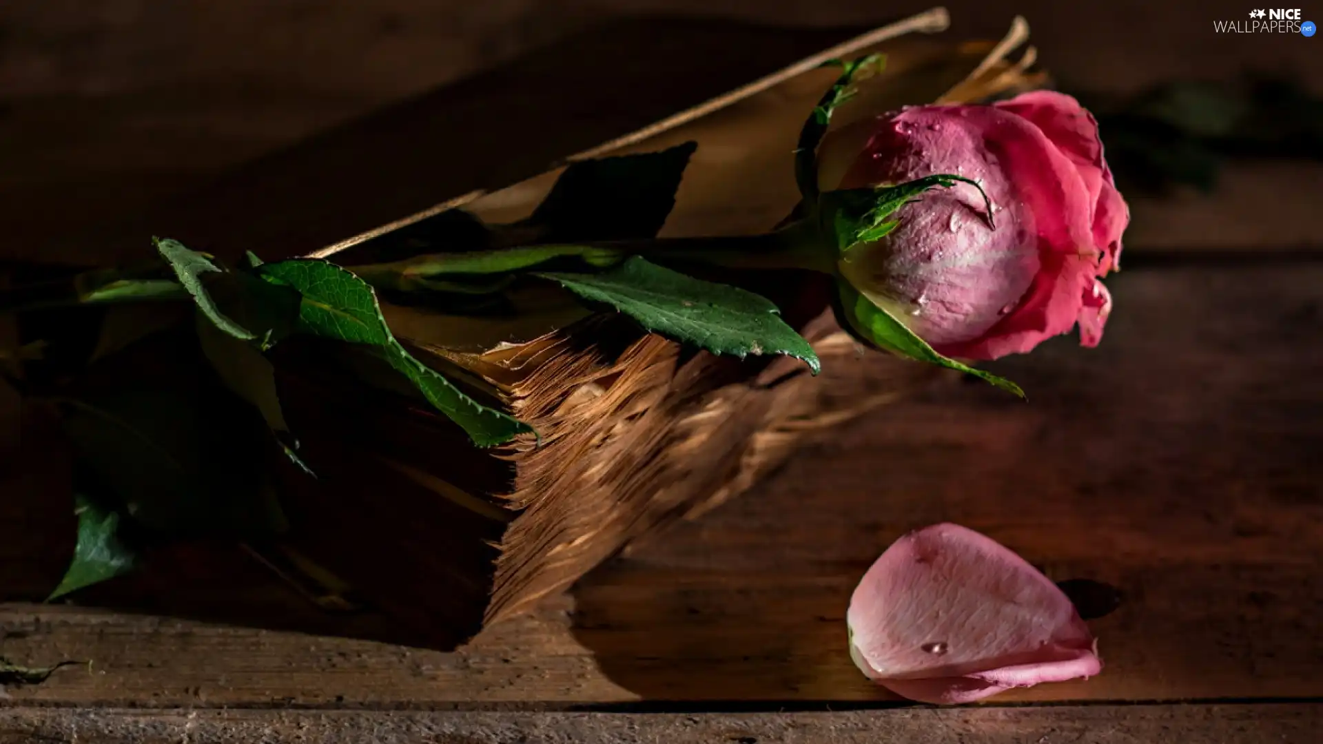 Colourfull Flowers, rose, Book, Pink