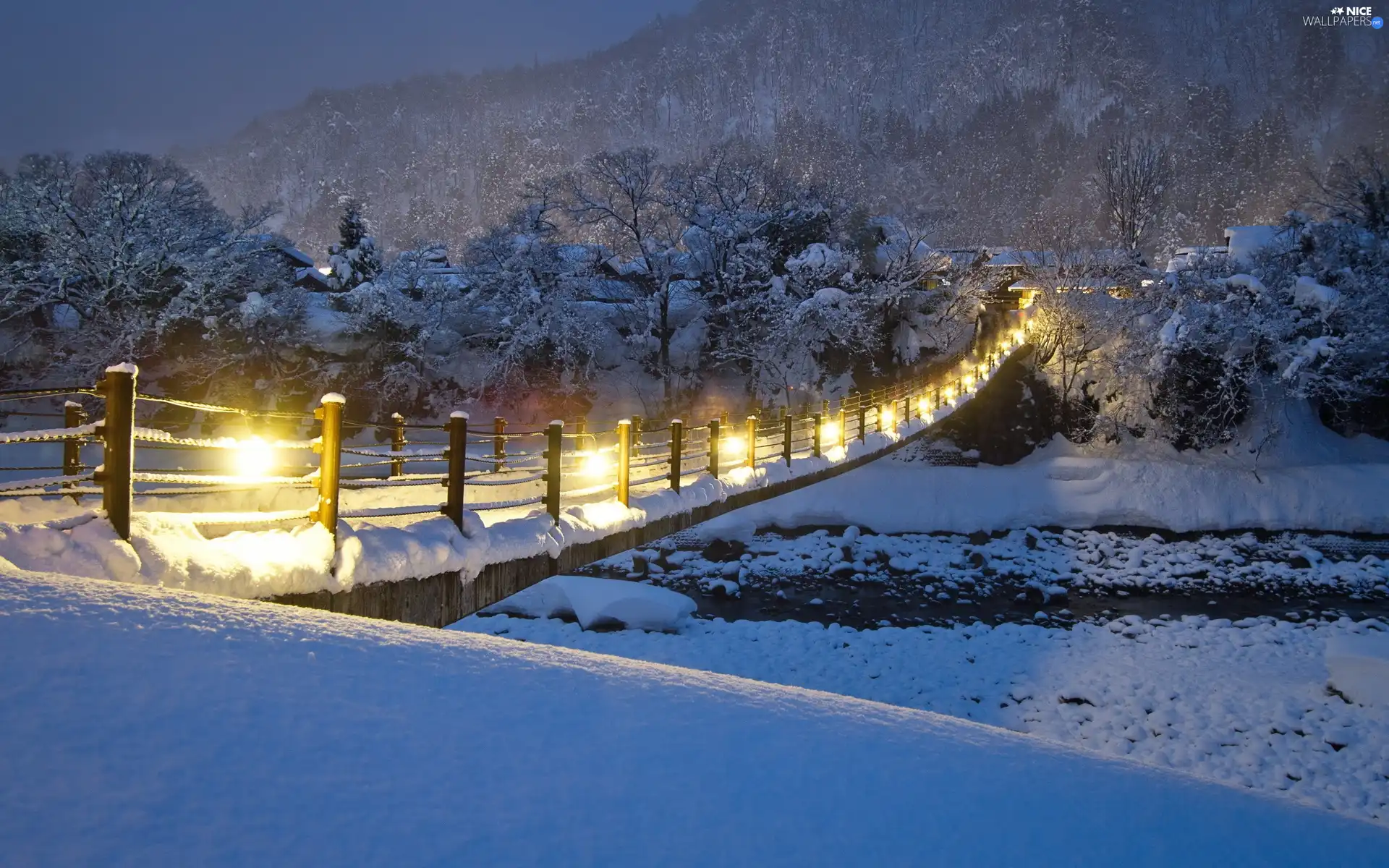 bridge, winter, viewes, Floodlit, trees