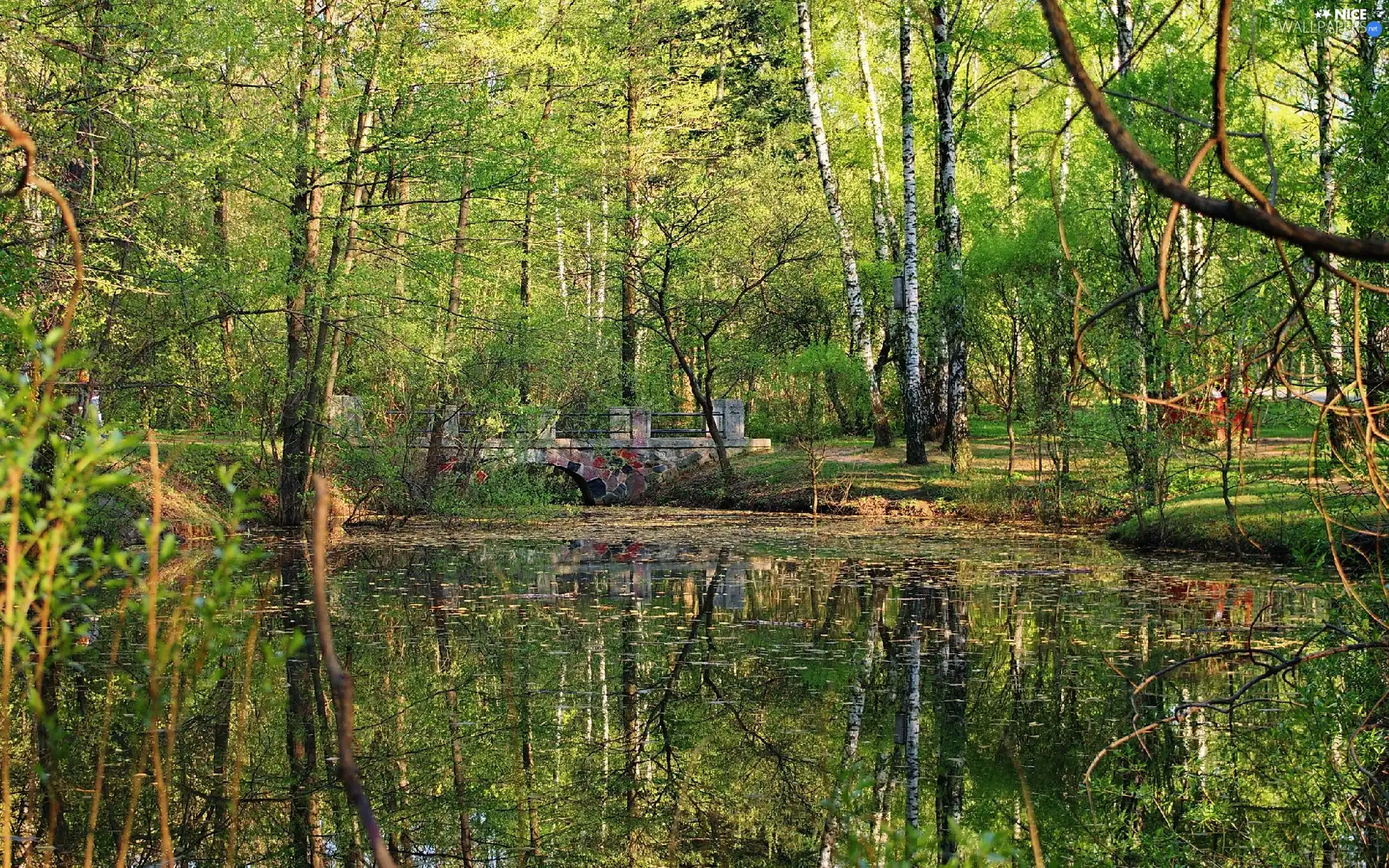 Pond - car, Park, bridges