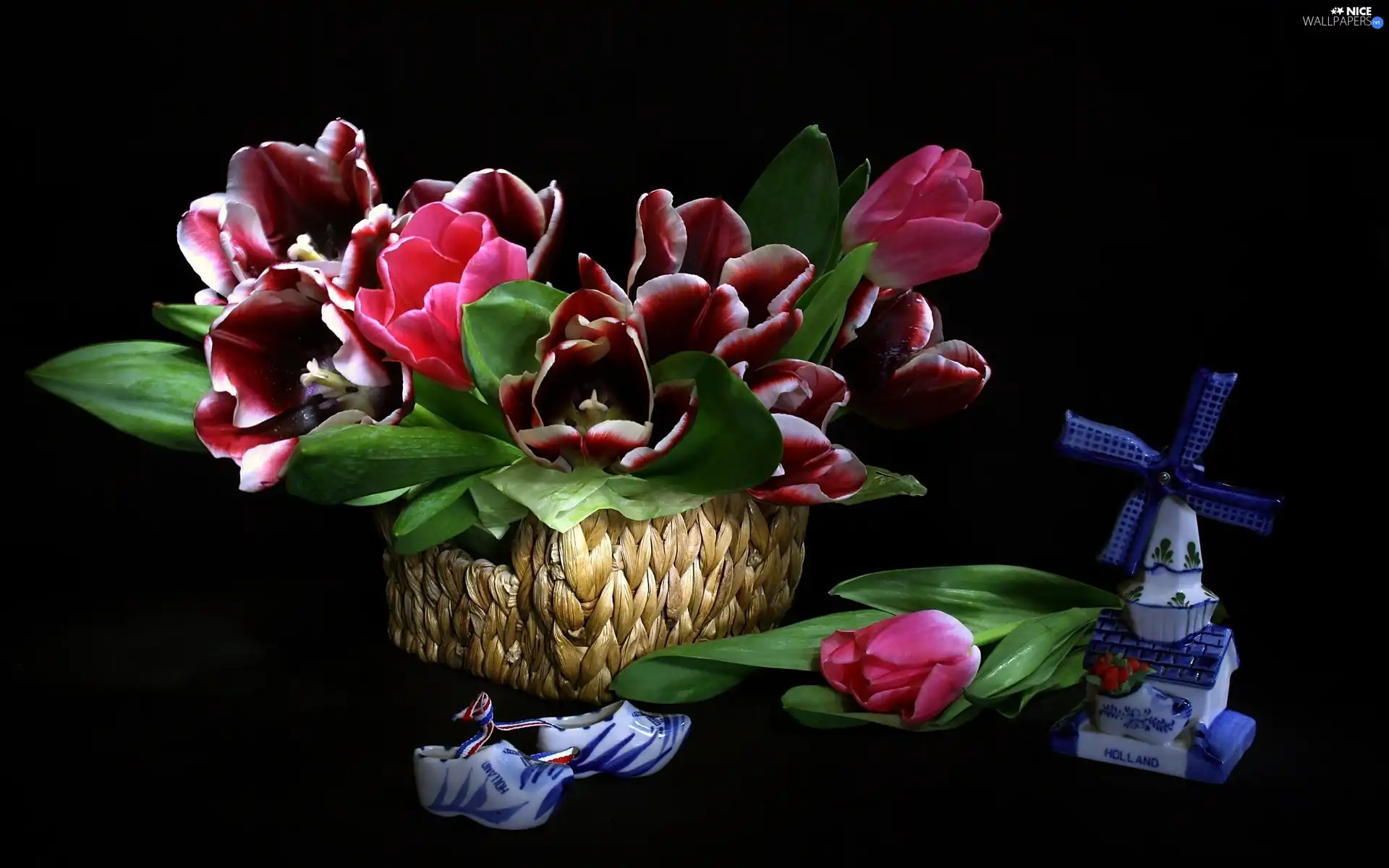 china, basket, Tulips