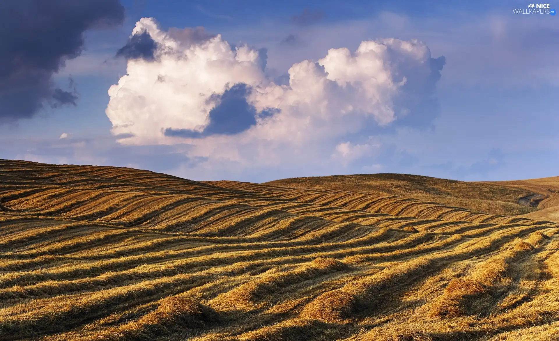 Field, harvest, clouds, Po