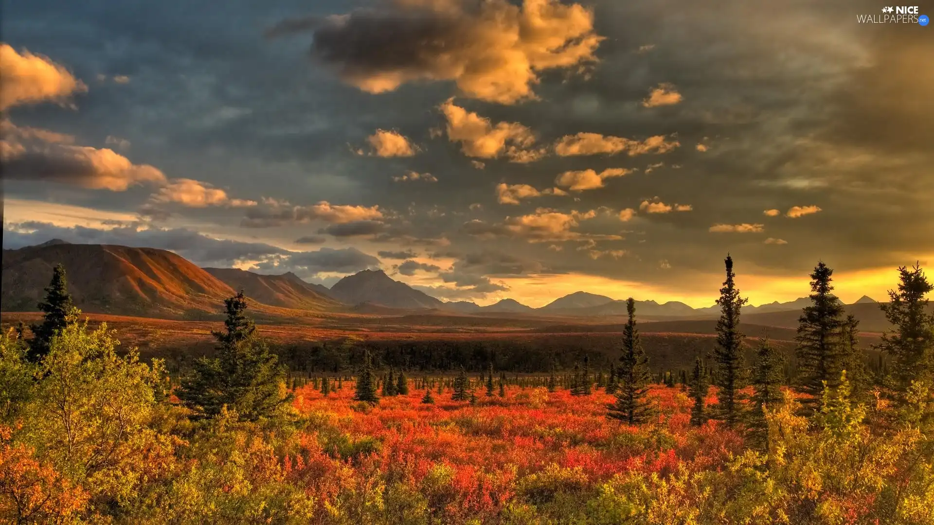 clouds, Mountains, forest