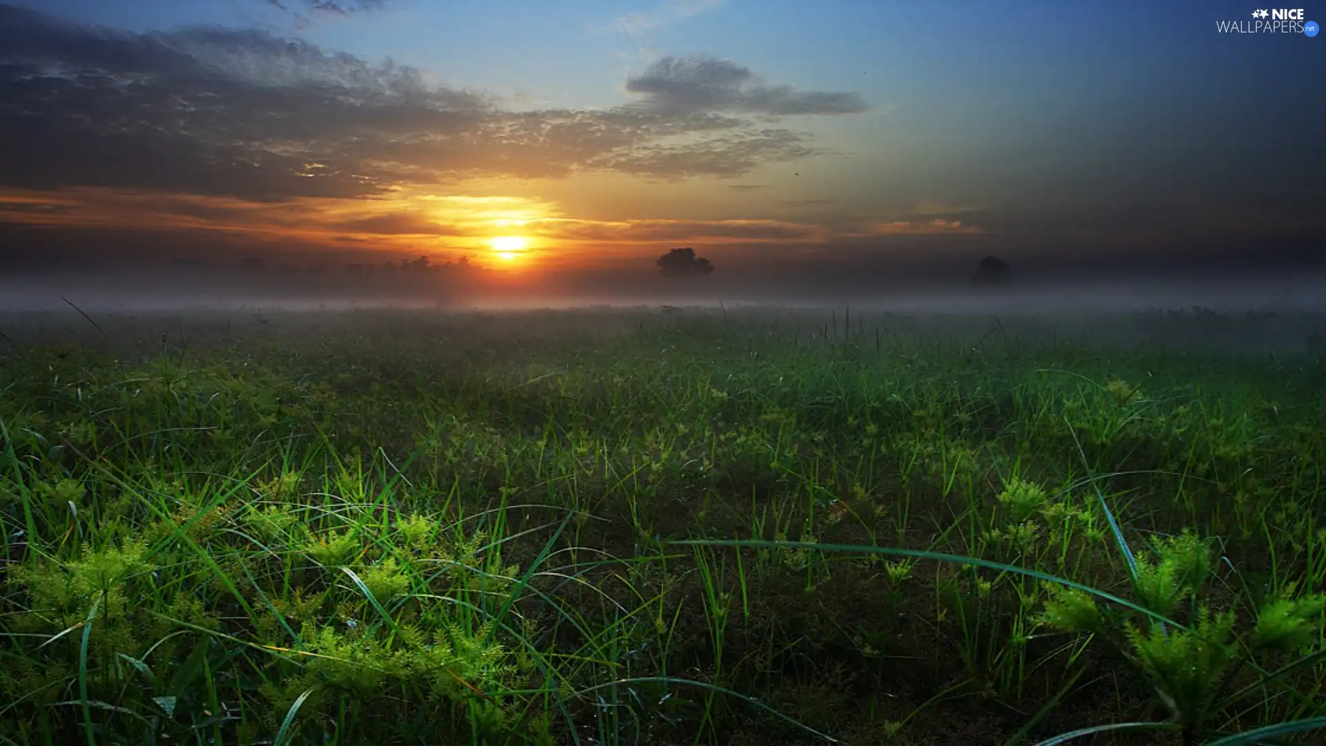 Meadow, sun, clouds, west