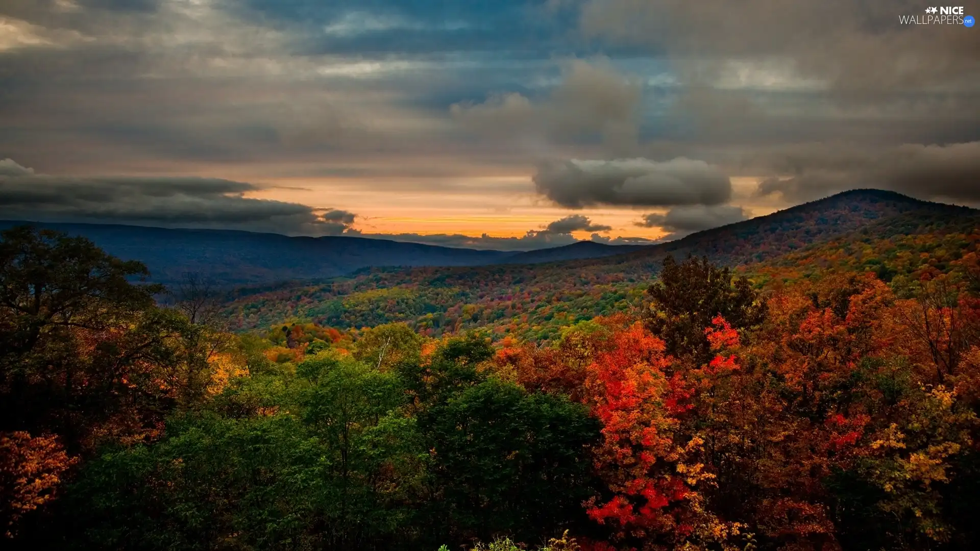 clouds, forest, Mountains