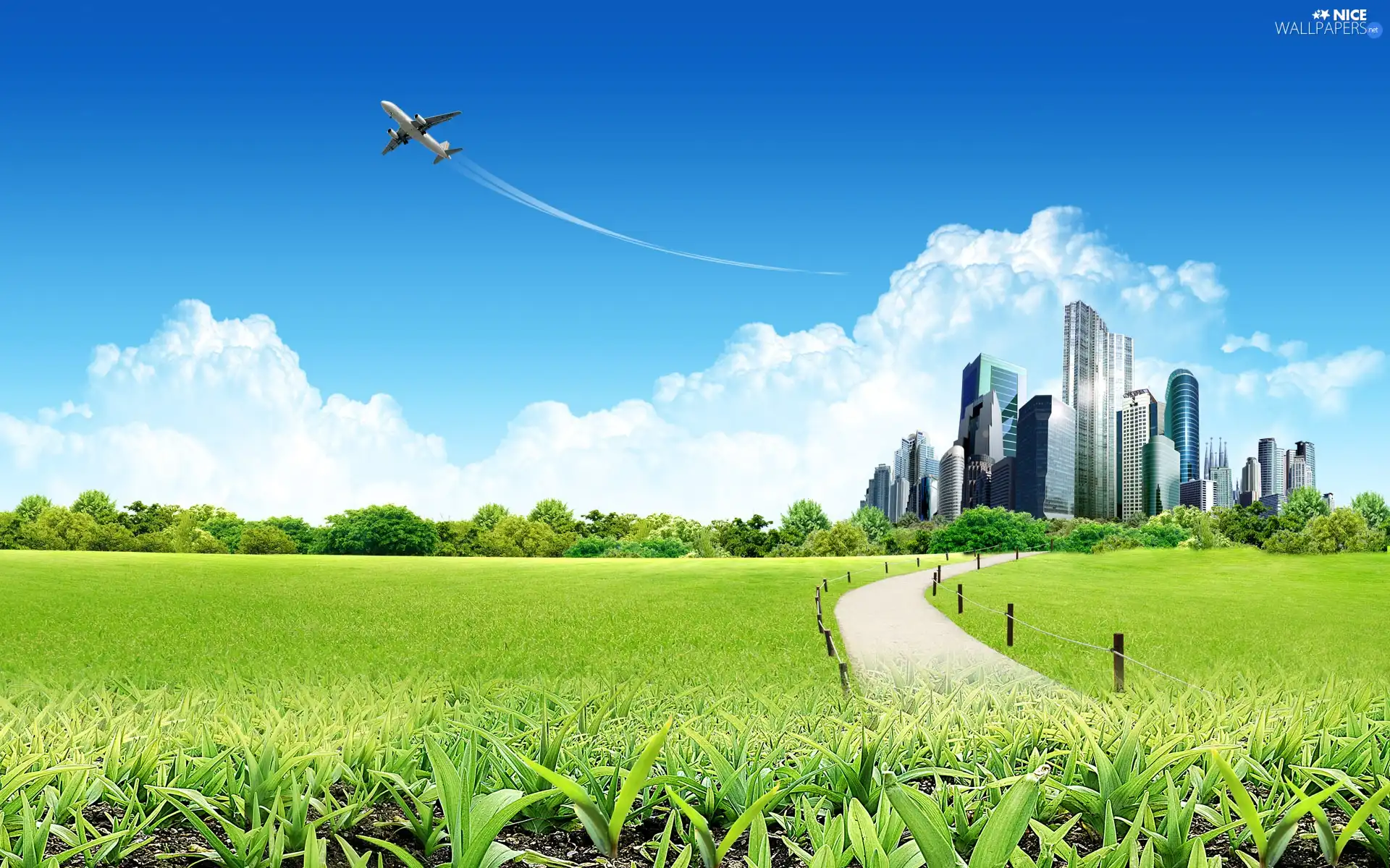 Path, Meadow, clouds, plane, skyscrapers, Narrow