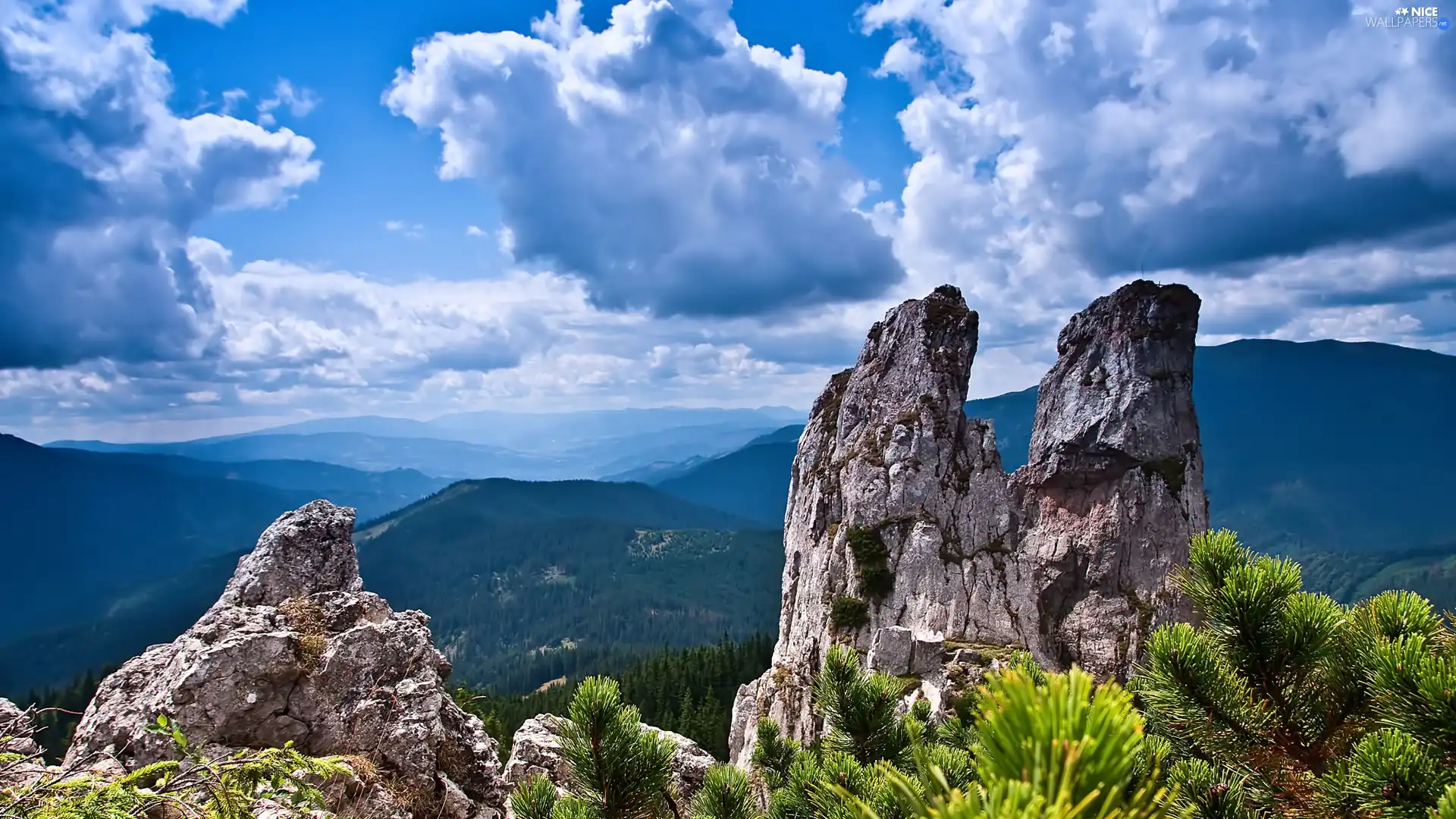 rocks, woods, clouds, Mountains