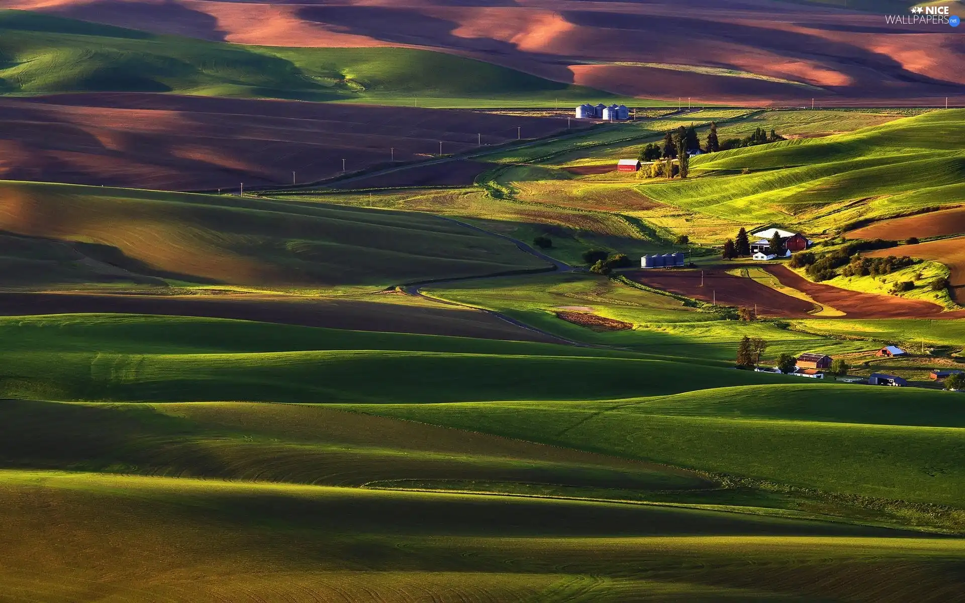 country, Farms, field