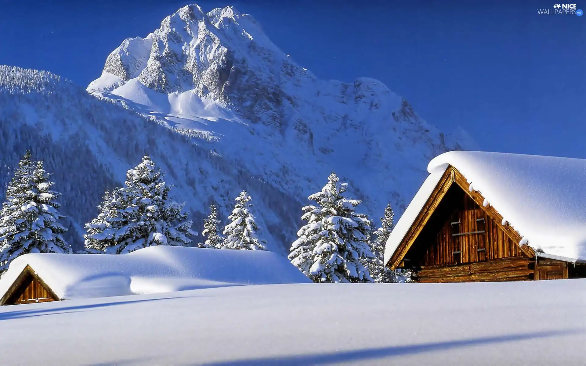 cover, snow, Mountains, thick, winter