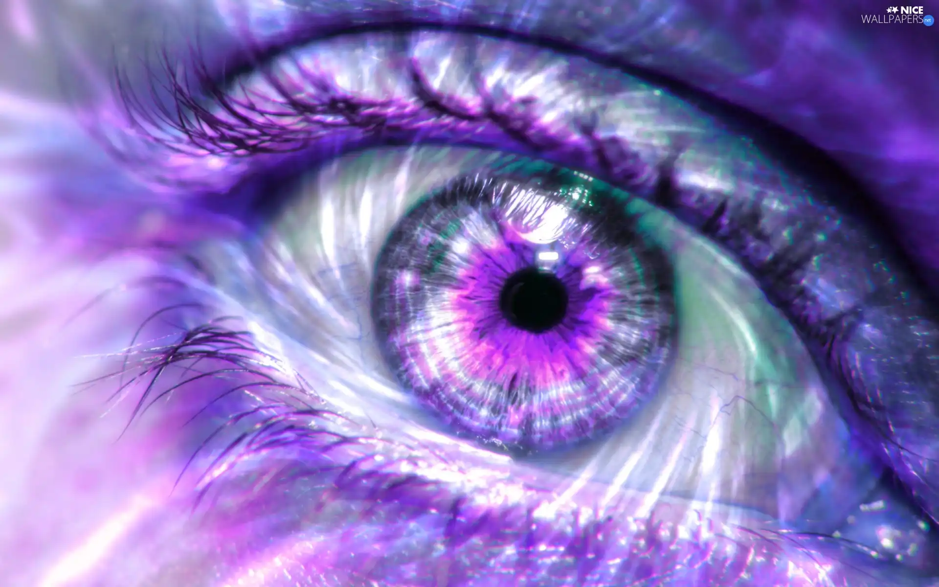 purple, eye