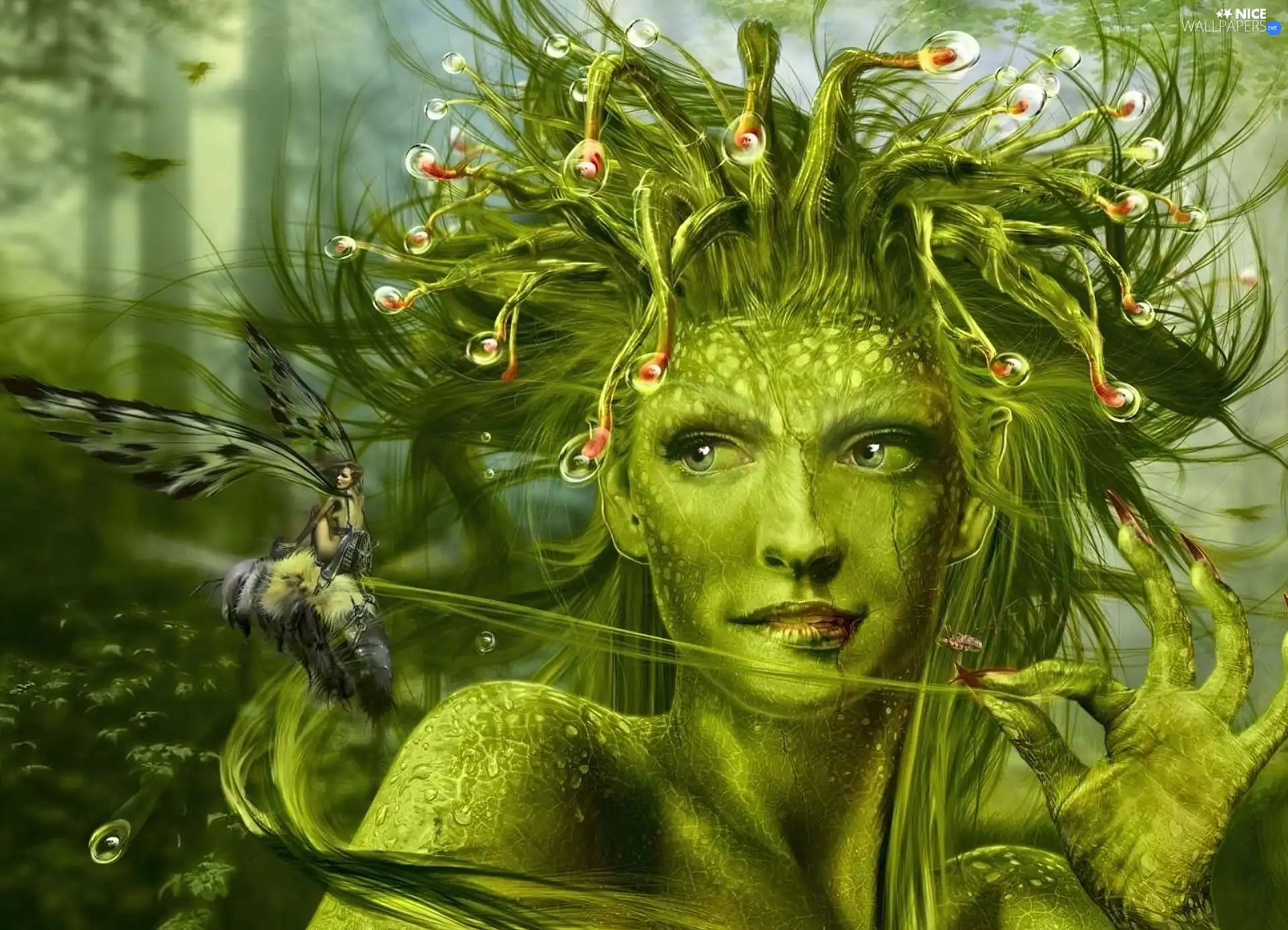 fairy, Green, Women