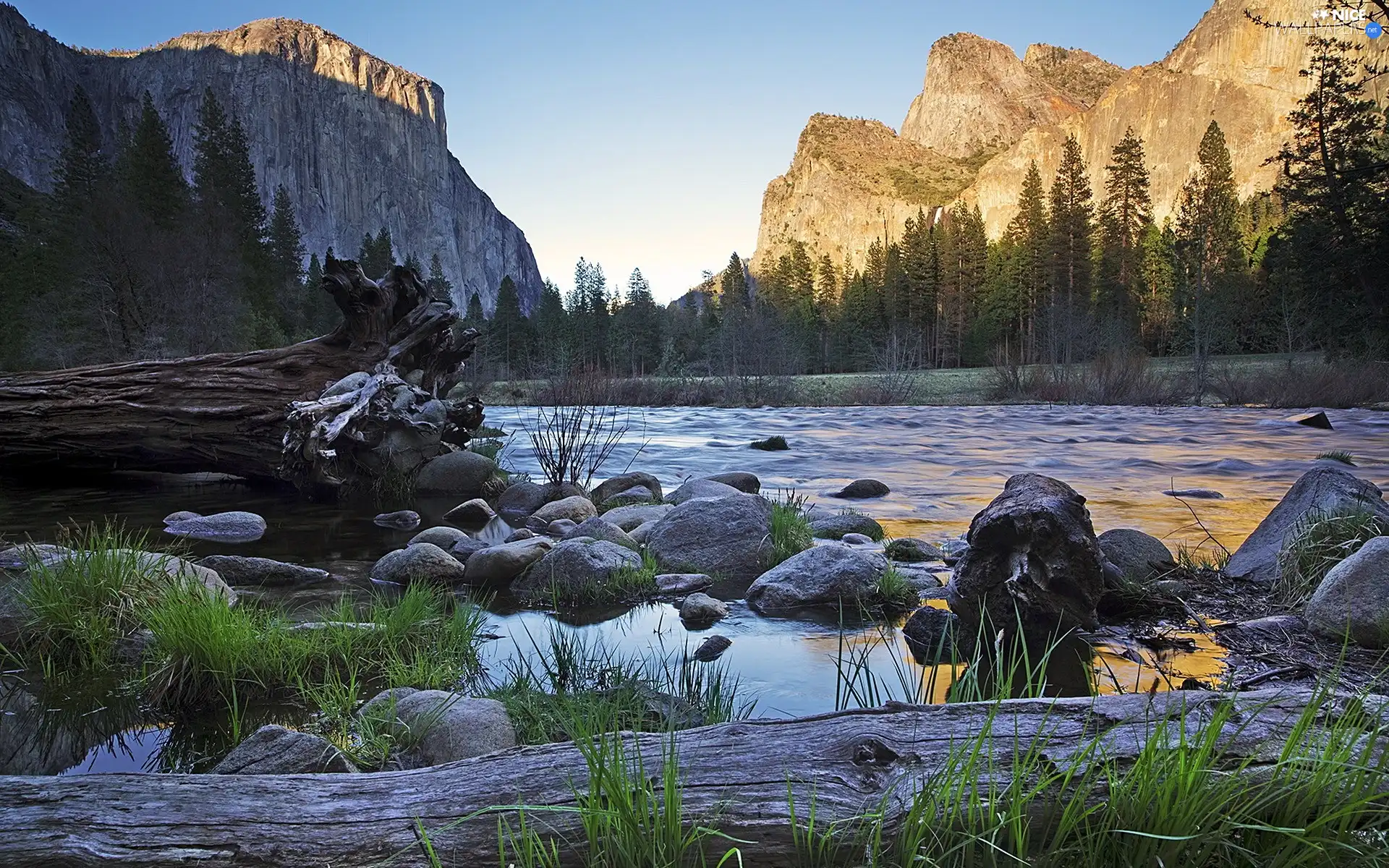 Stones, forest, trees, lake, Mountains, fallen, viewes