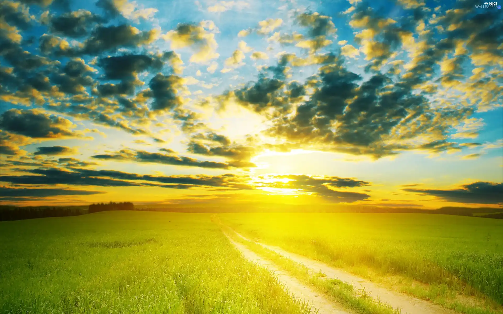 west, clouds, field, sun