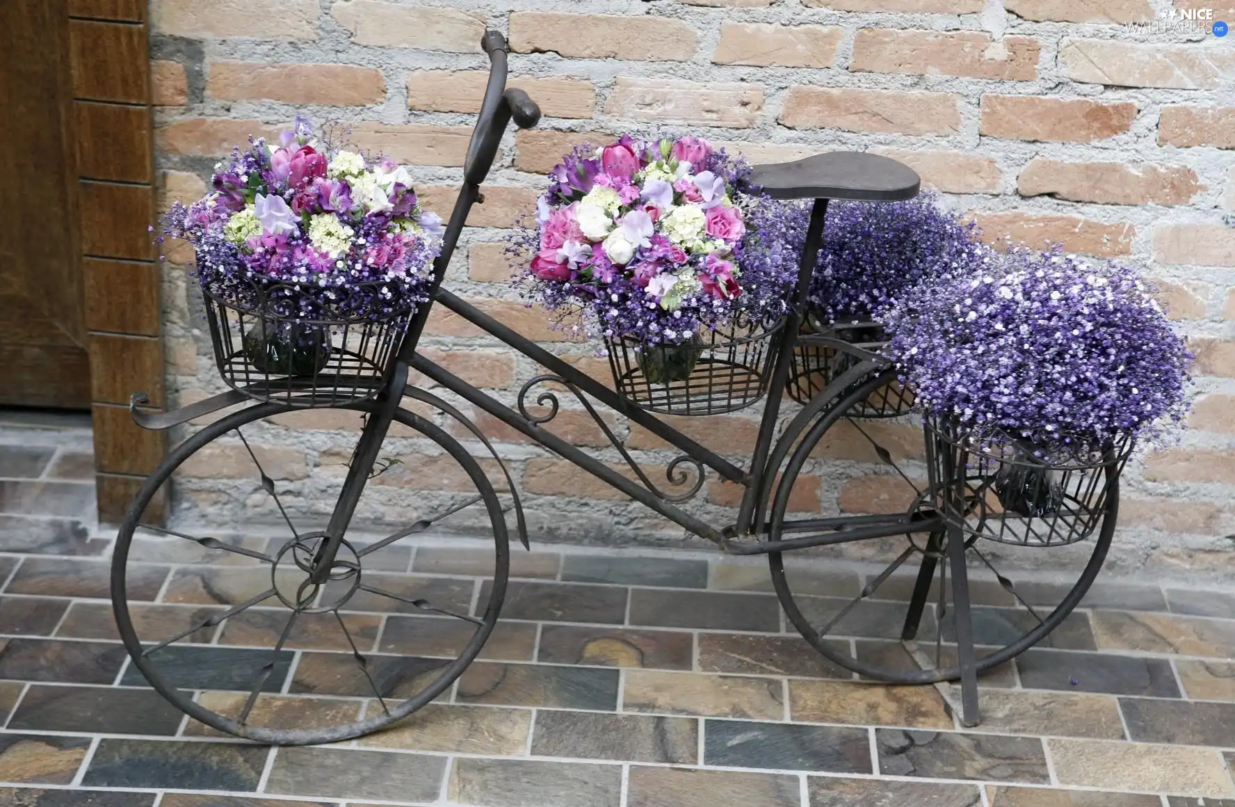 Flowers, flowerbed, Bike