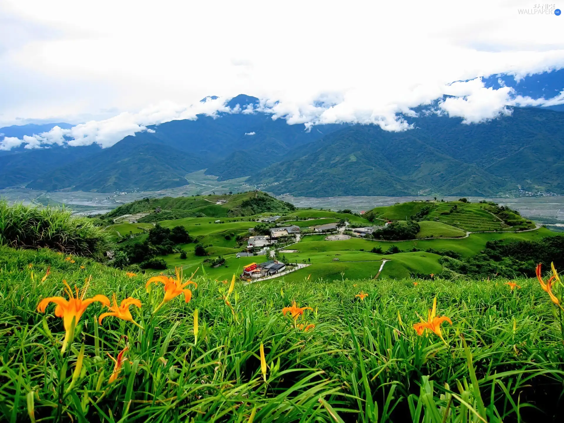 clouds, Valley, Flowers, Mountains