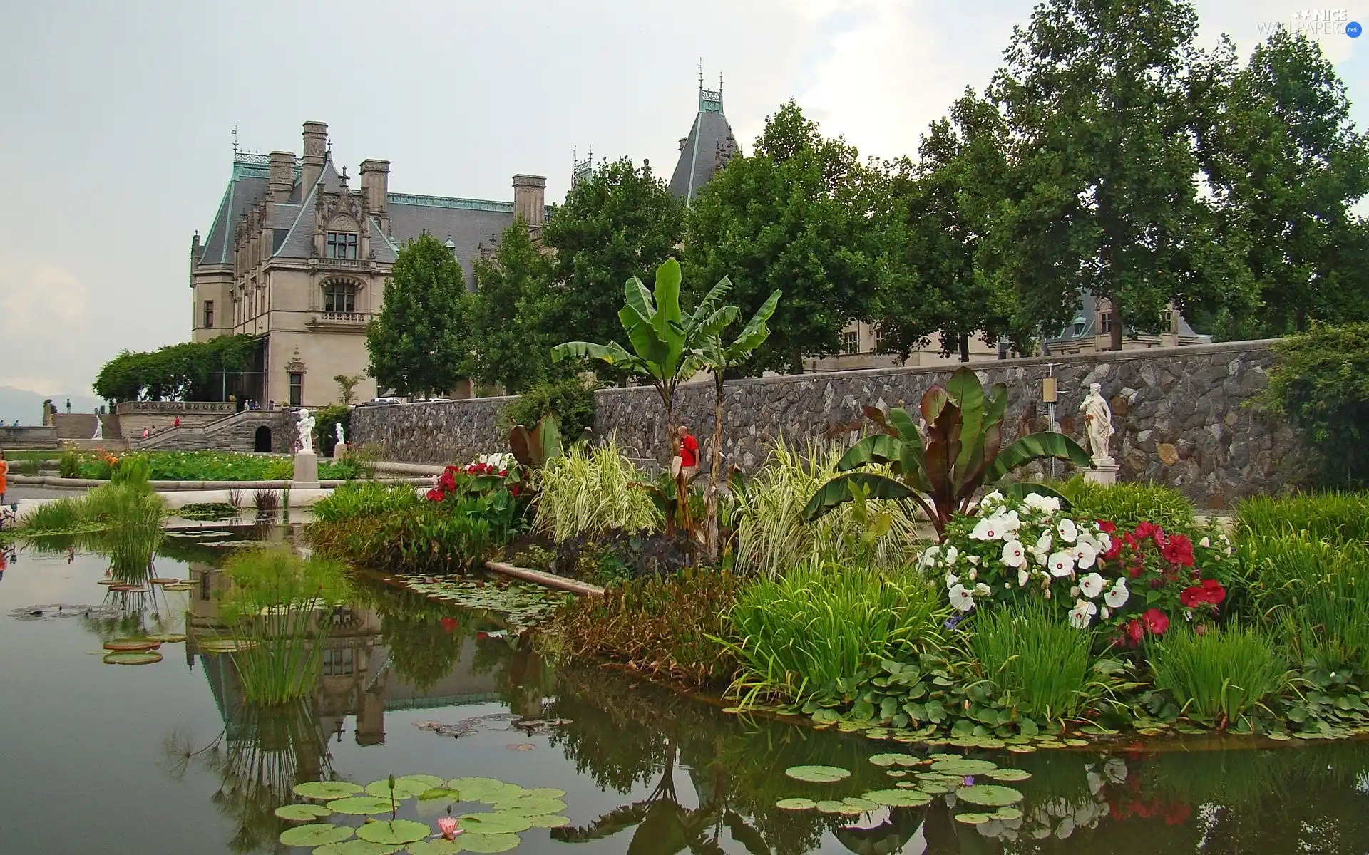 Flowers, Castle, lake