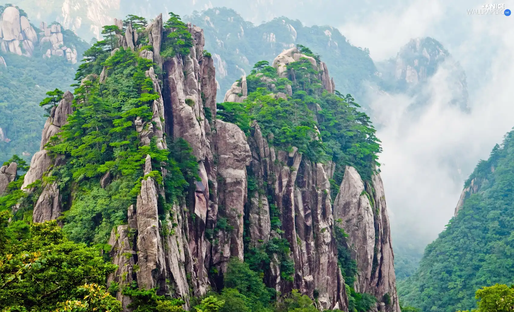 Mountains, VEGETATION, Fog, peaks