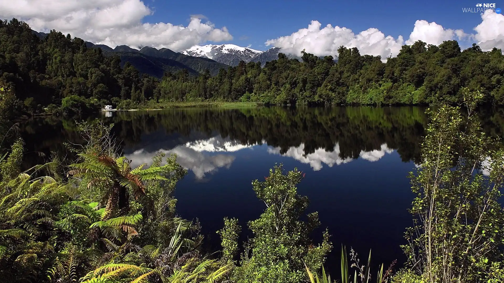 forest, Mountains, lake