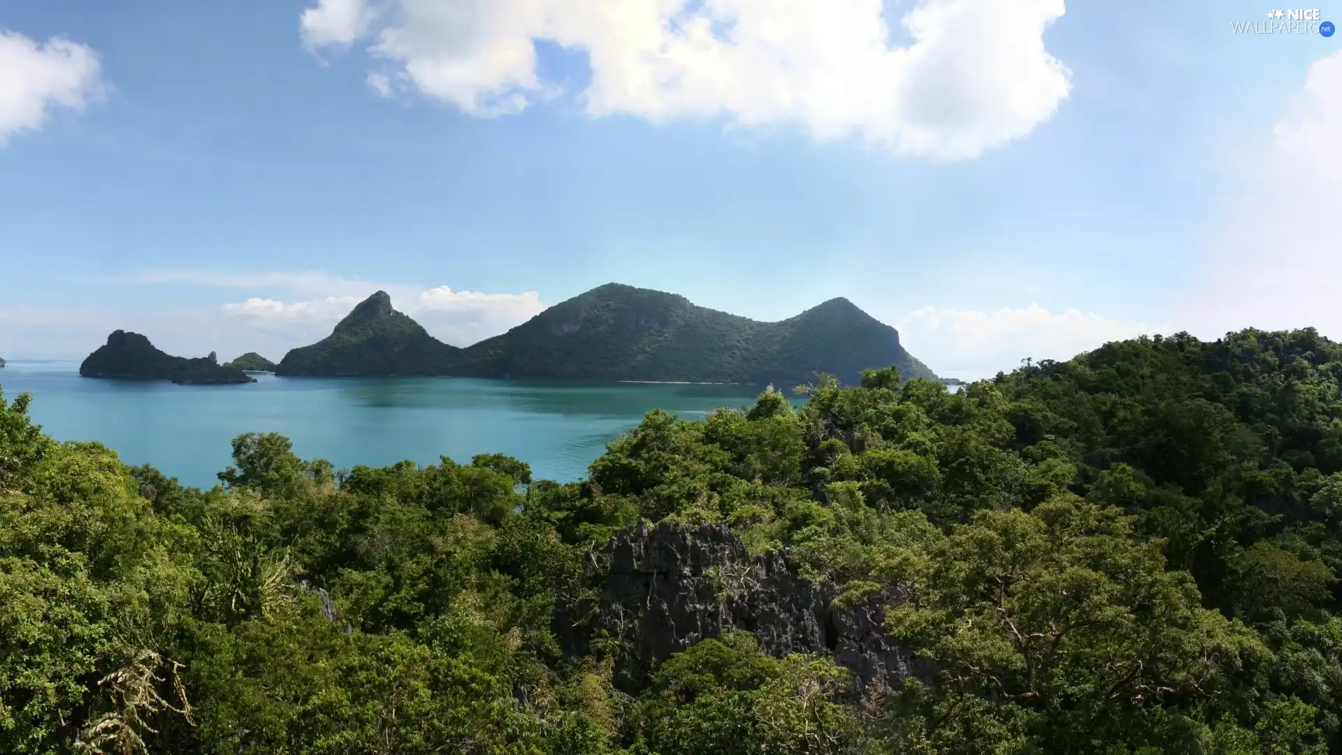 landscape, lake, forest, Mountains