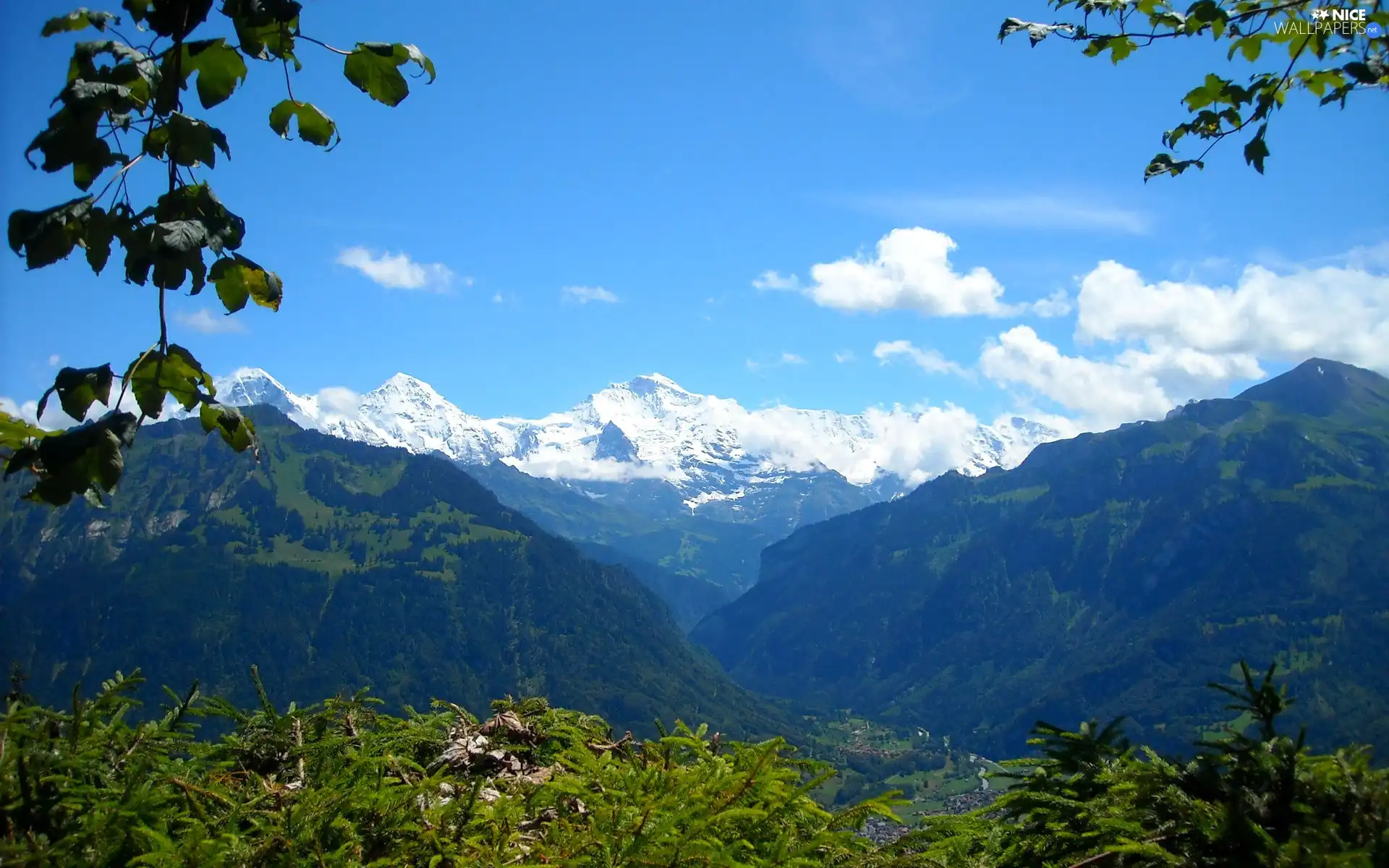 Mountains, forest