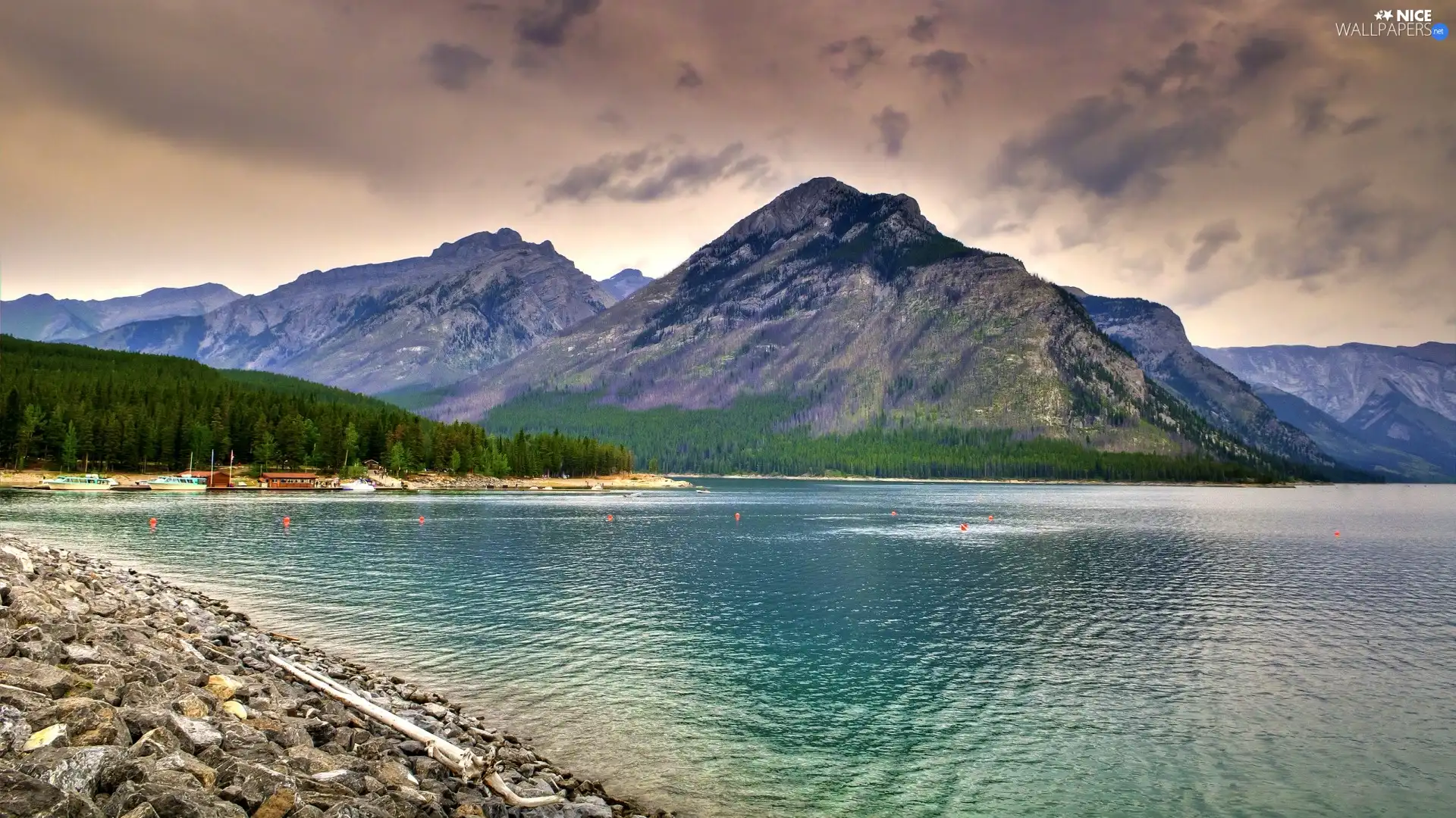 Mountains, Coast, forest, lake