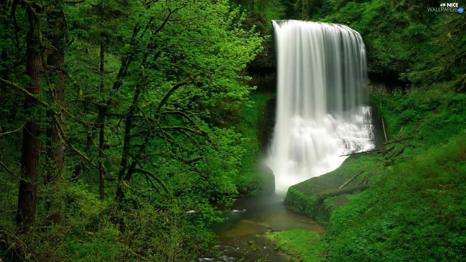 waterfall, forest