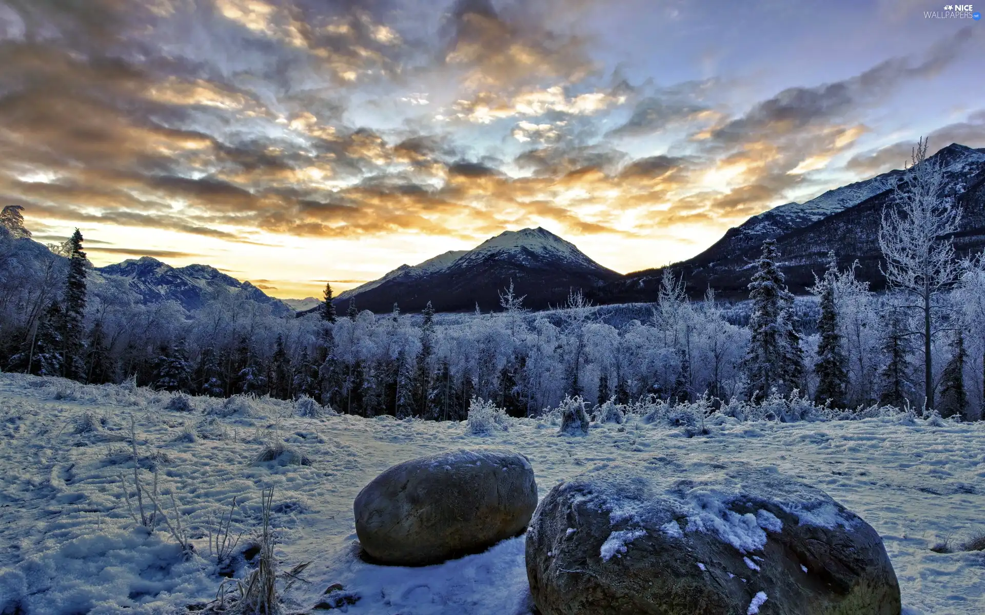 forest, winter, sun, Mountains, west