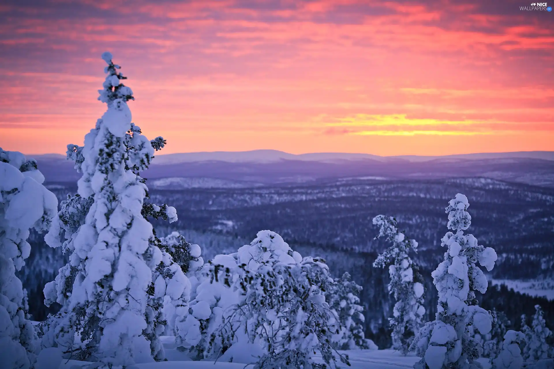 forest, winter, sun, Mountains, west