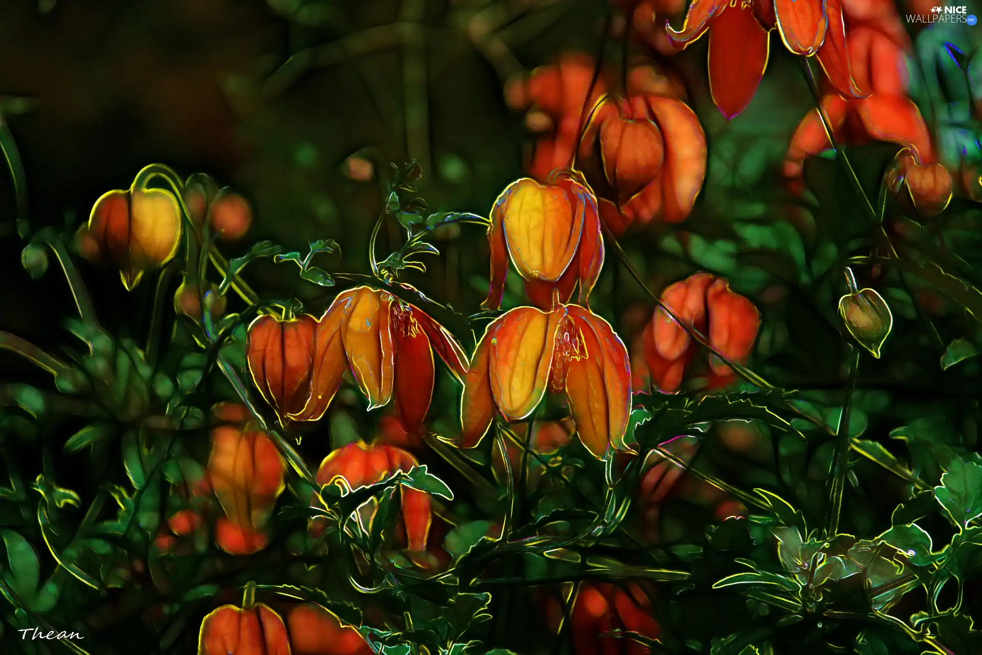 Flowers, Fractalius