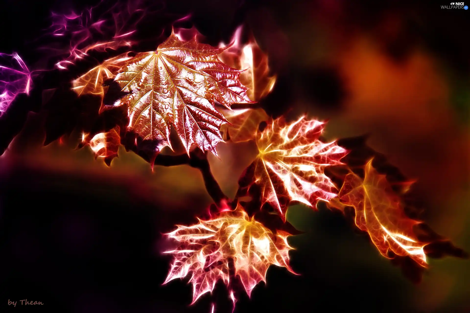 Leaf, Fractalius