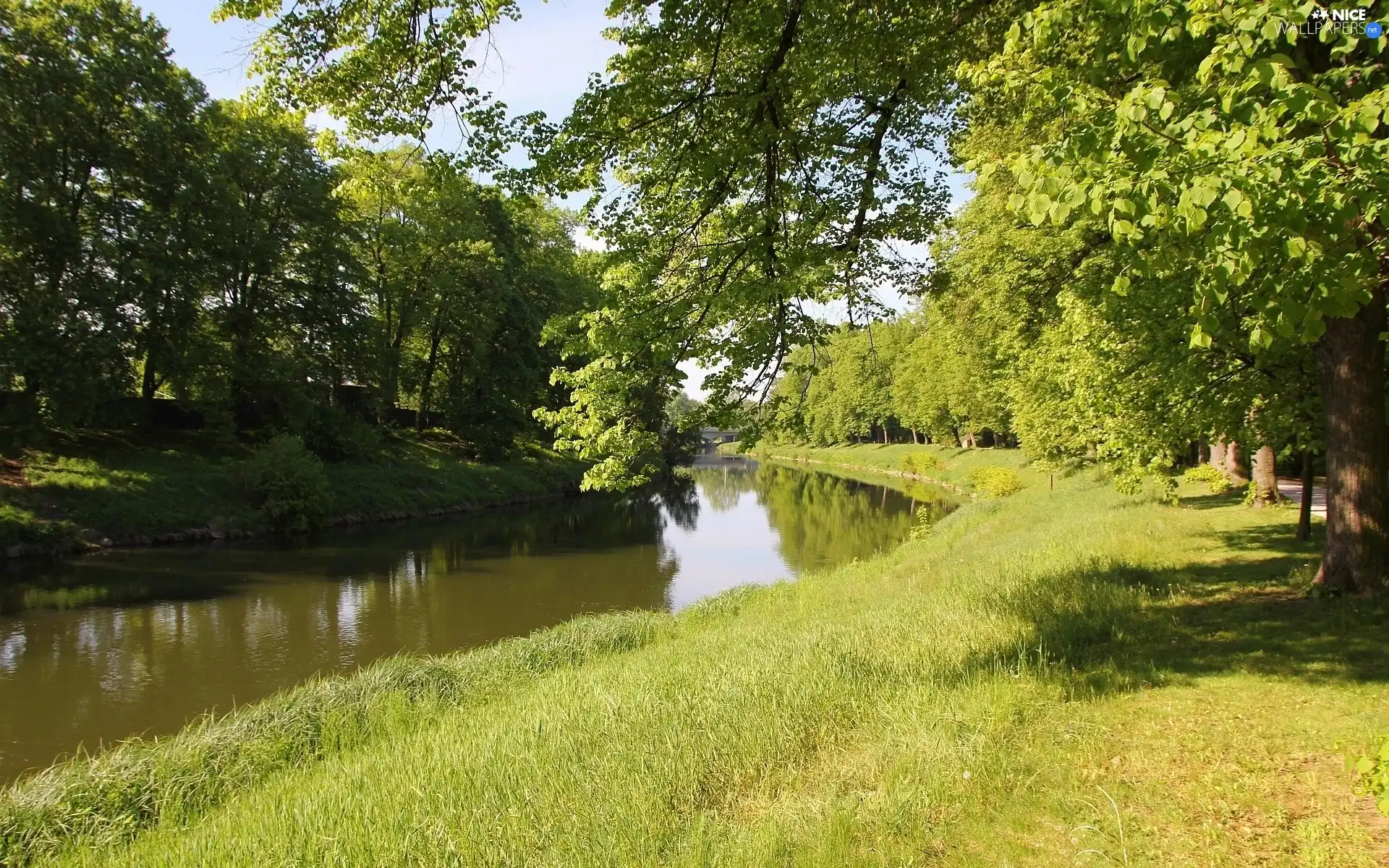 grass, River, Park