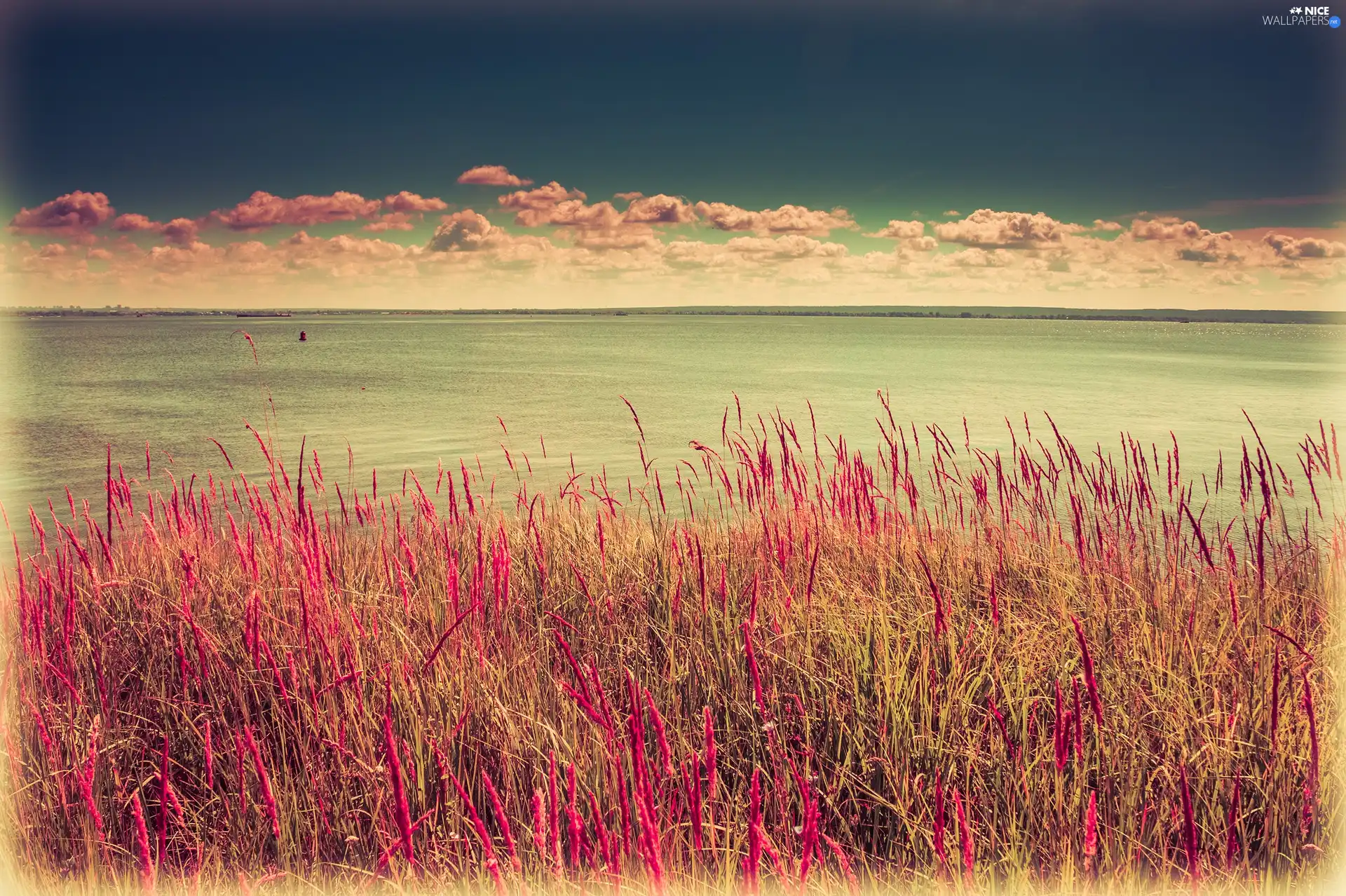 grass, clouds, sea