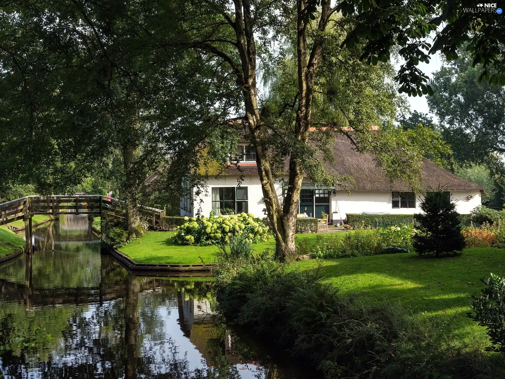 brook, house, green, bridges