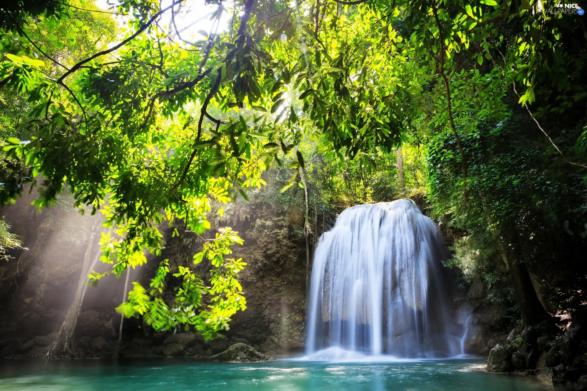 green, waterfall, forest