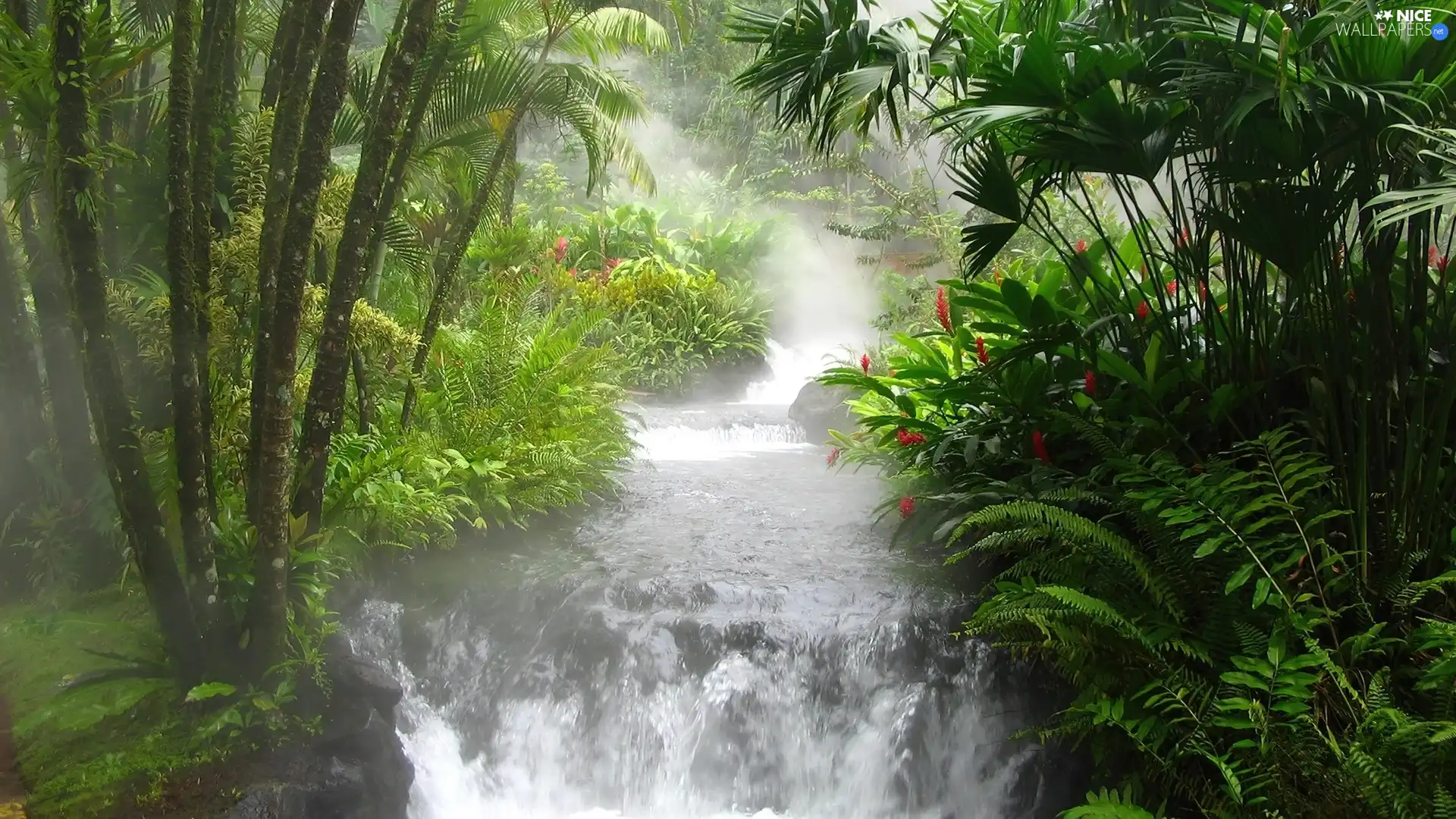 waterfall, viewes, green, trees