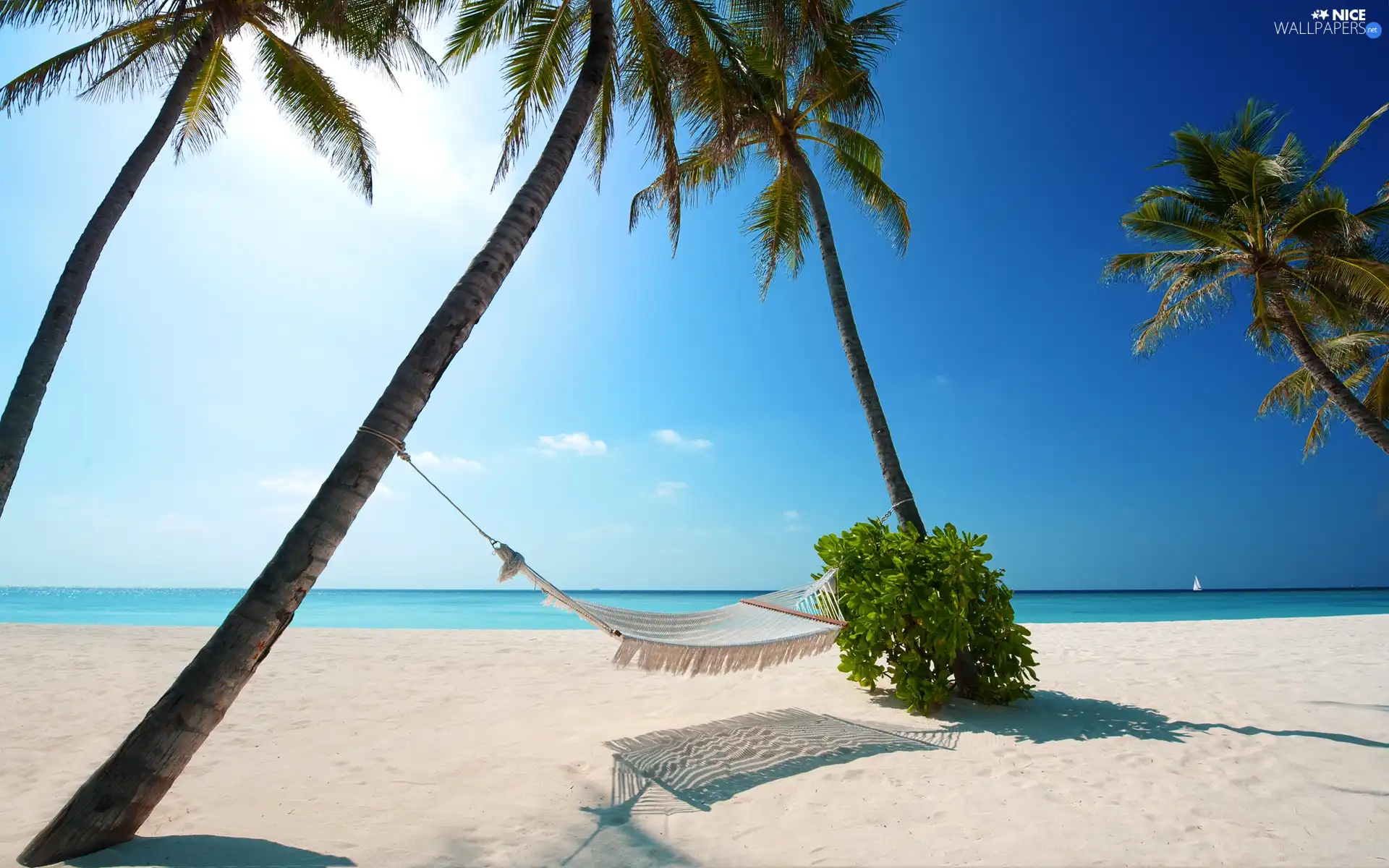 Hammock, Beaches, sun