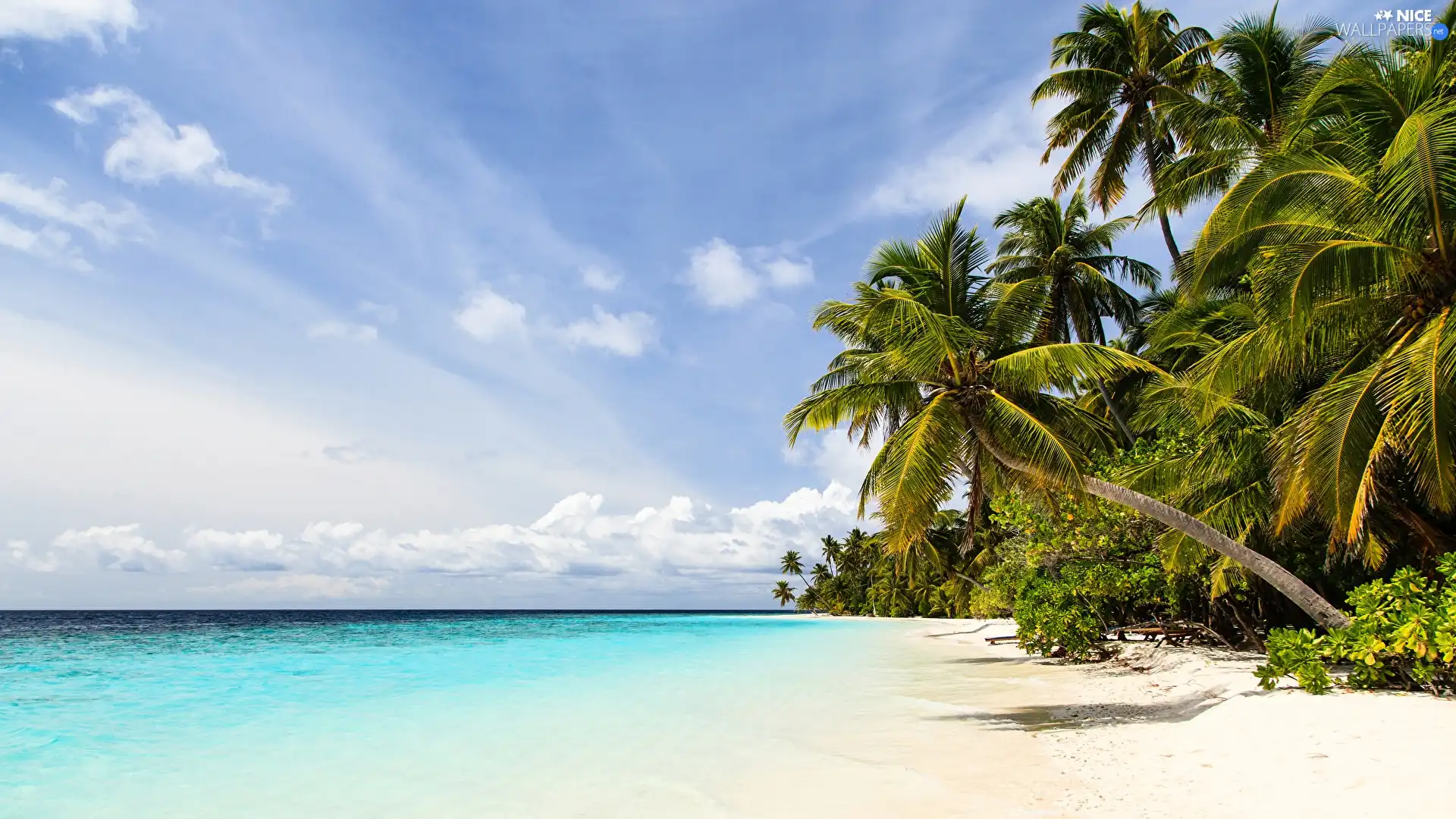 Beaches, Tropical, Sky, holiday, Palms, sea - Nice wallpapers: 1920x1080