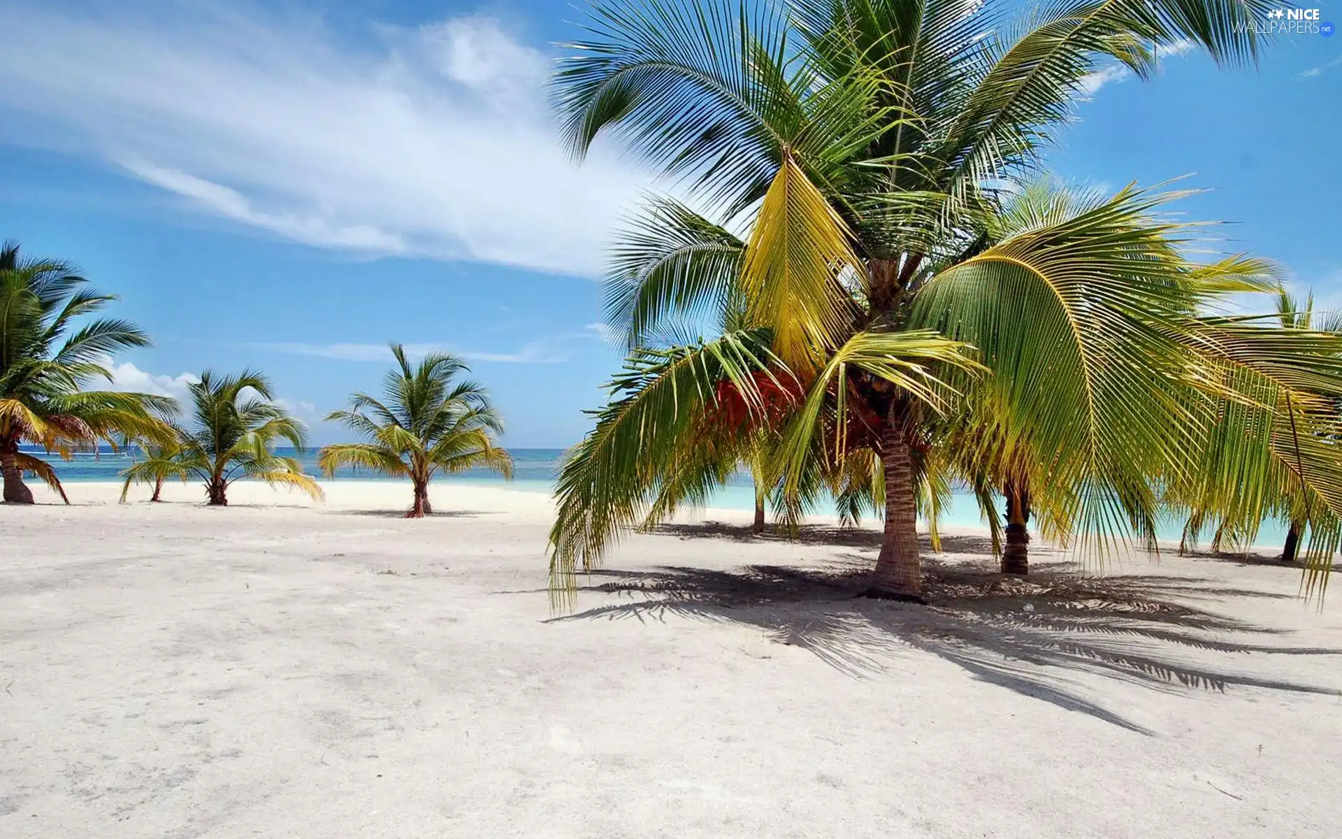 Island, Dominican Republic, Beaches, Palms, Ocean