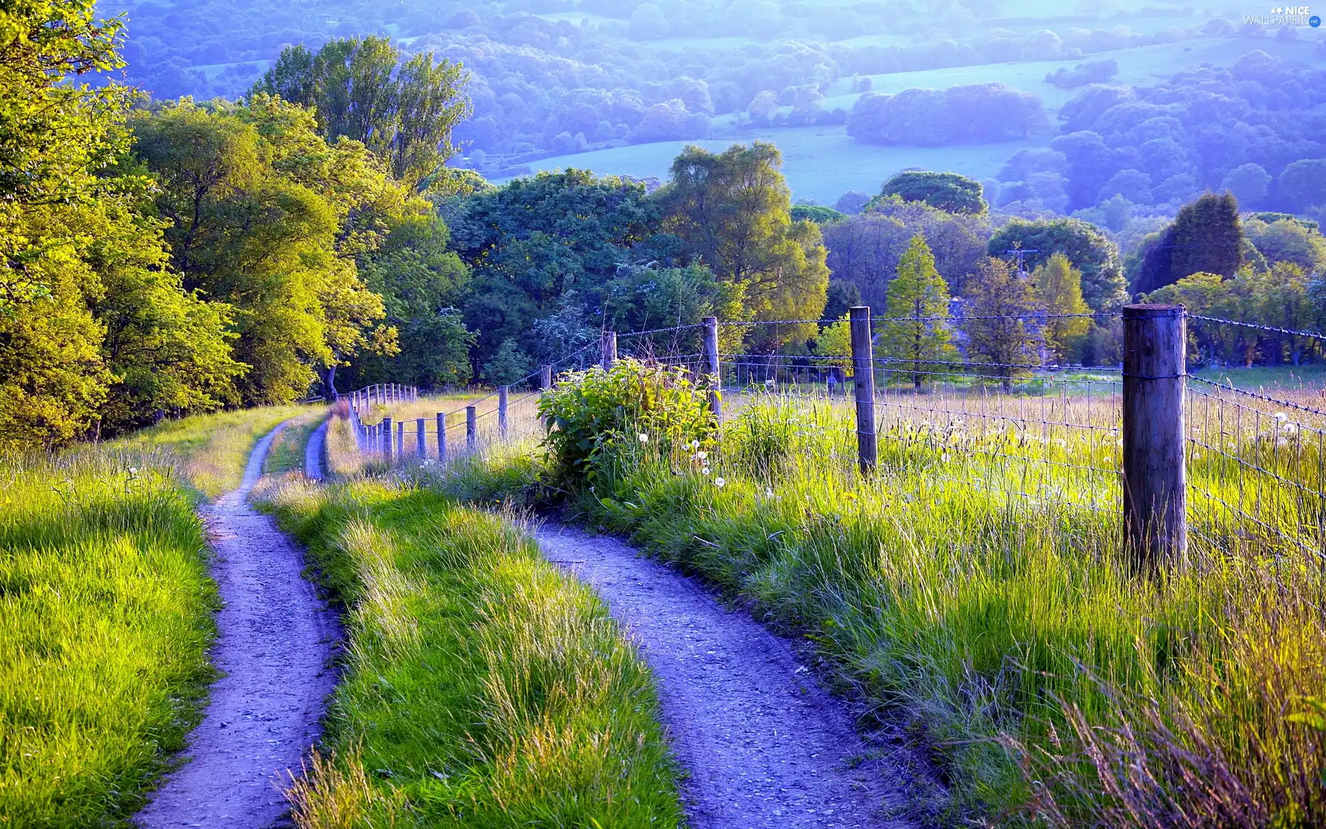 Field, fence, landscape, Way