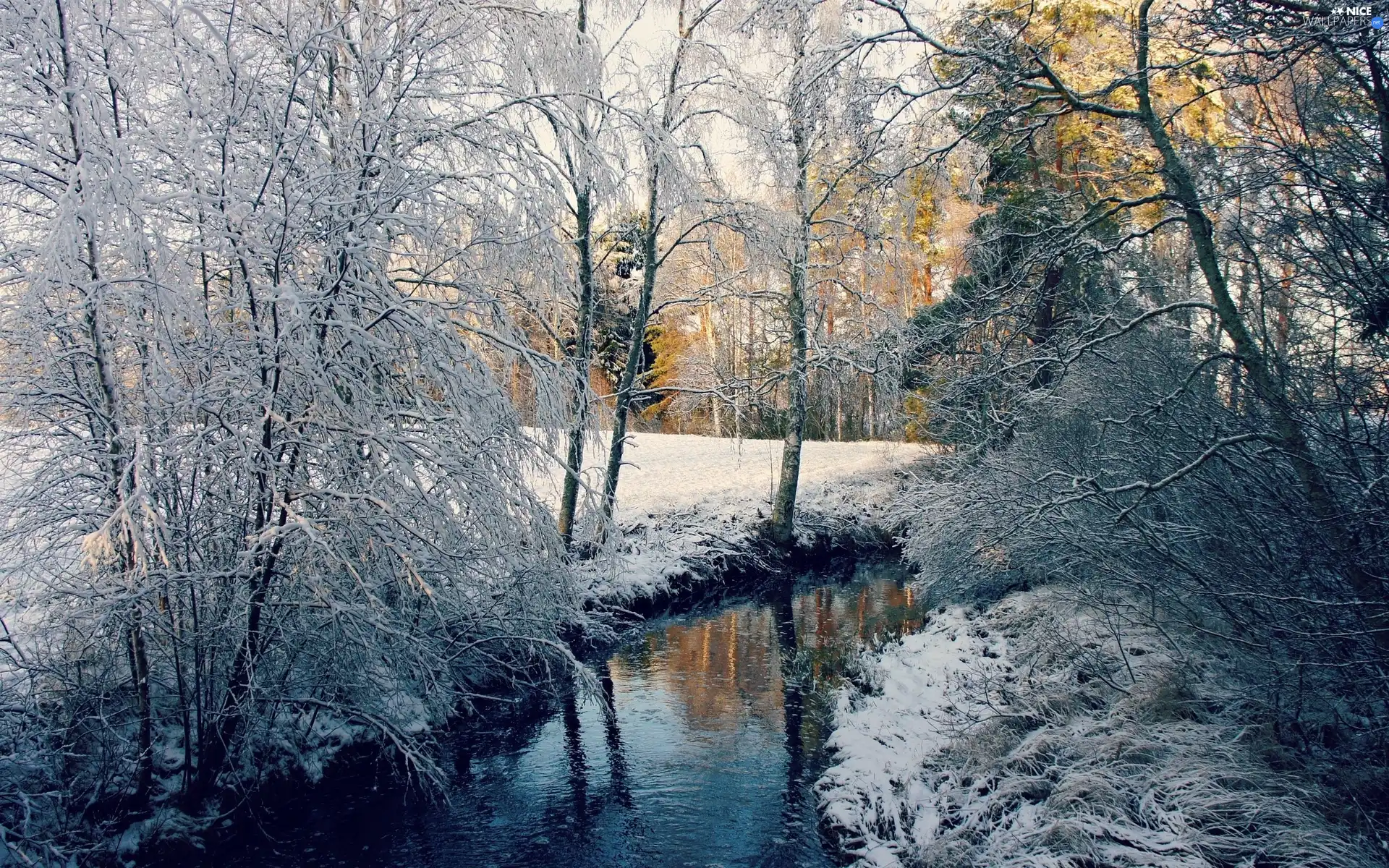 Przebijające, ligh, winter, sun, luminosity, brook, forest, flash