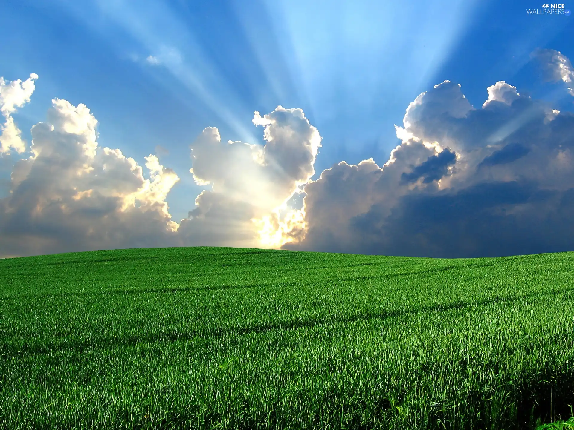 clearance, clouds, Meadow, sun