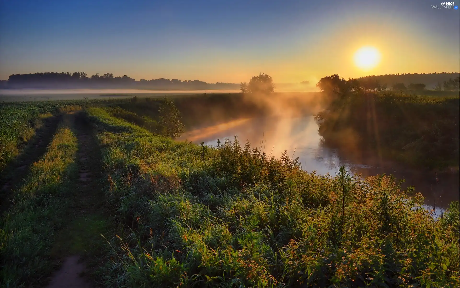 Meadow, Fog, east, sun, River