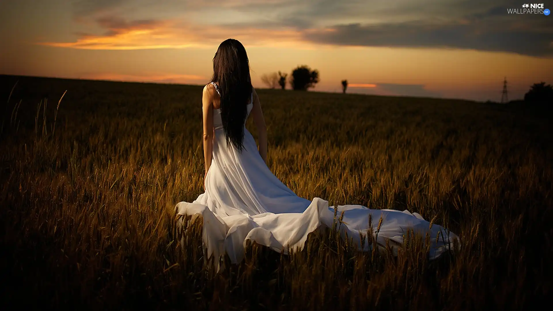 girl, sun, Meadow, west