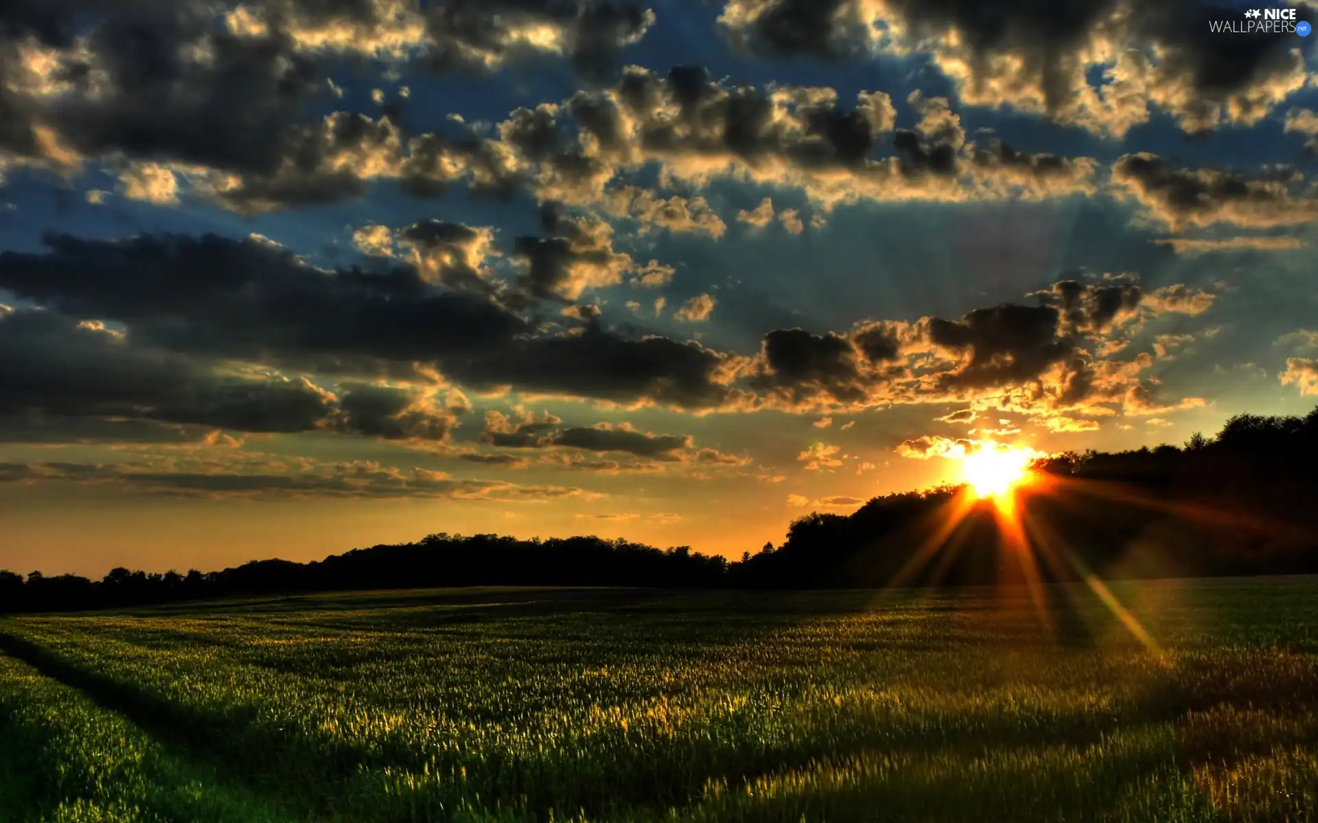 west, clouds, Meadow, sun