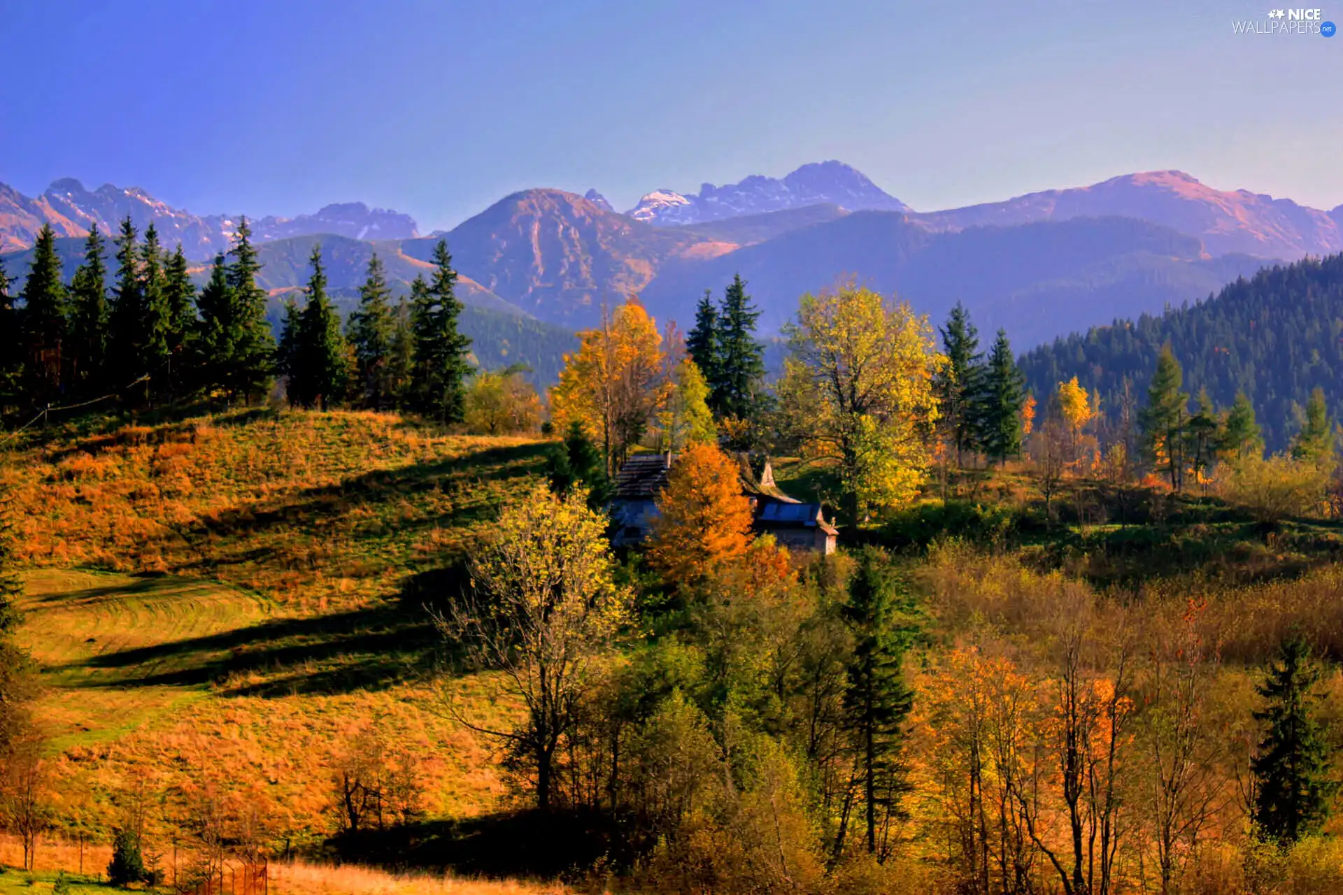 autumn, viewes, Mountains, trees